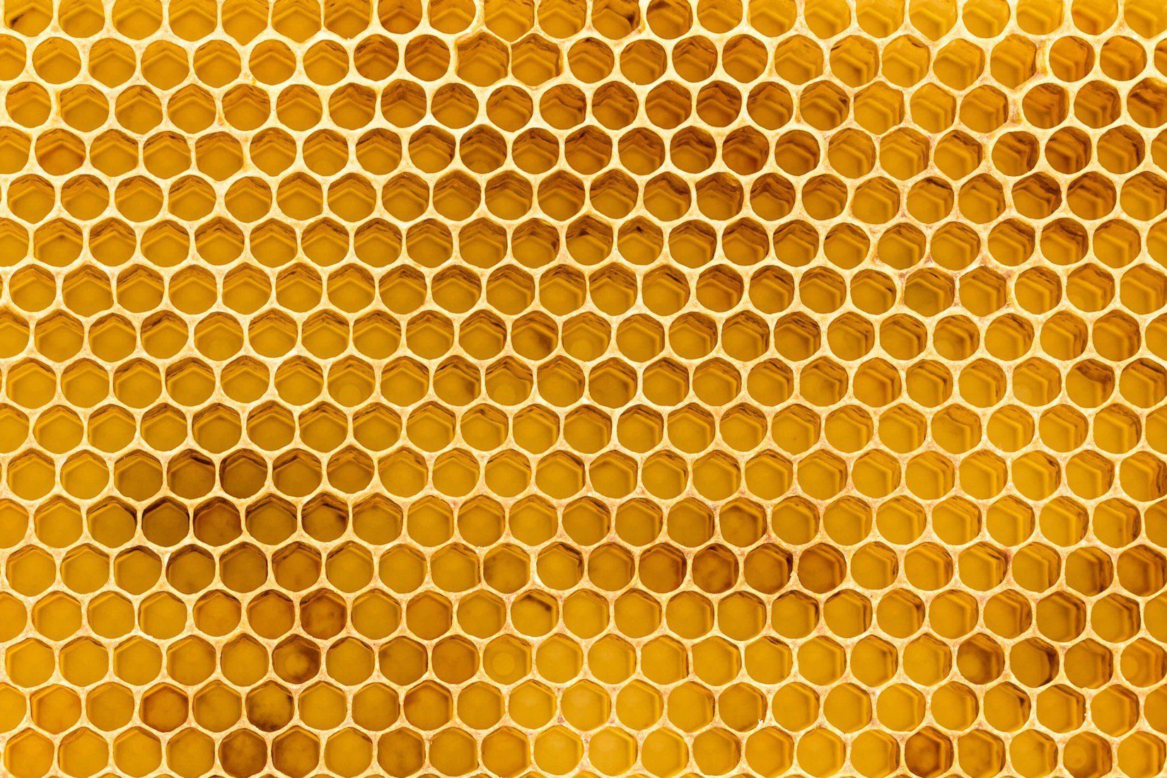 Bee Hive Background