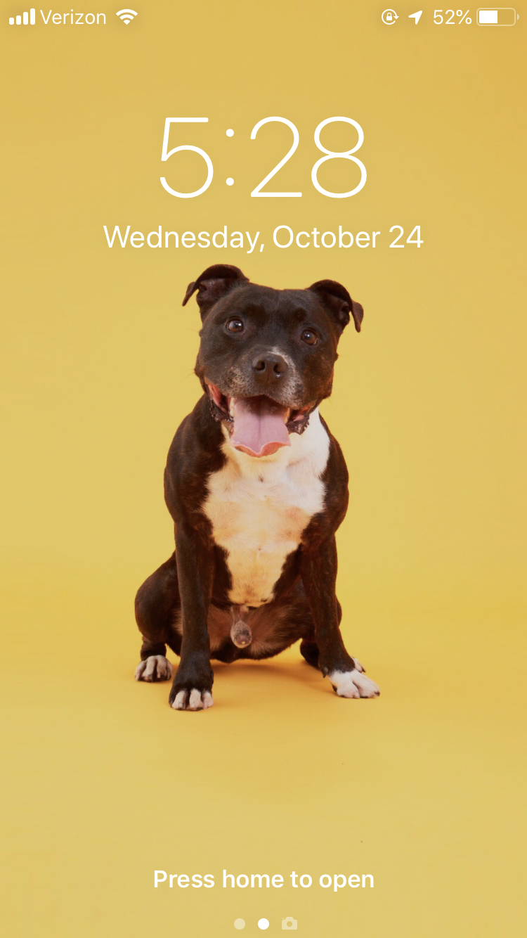 Best Friend Phone Backgrounds