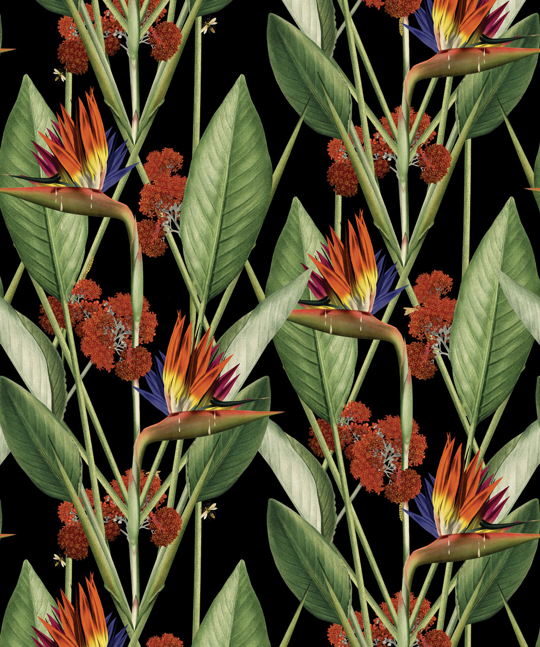 Birds Of Paradise Background