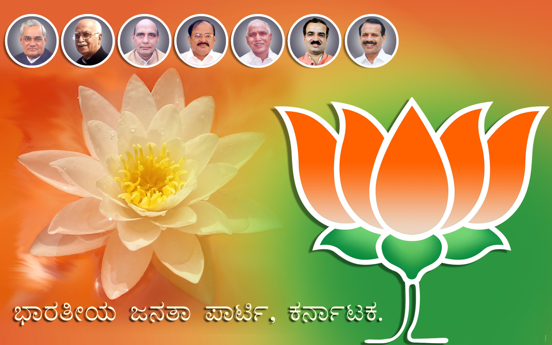 Bjp Background