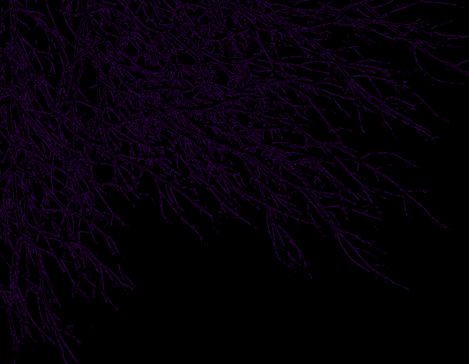 Black And Purple Background