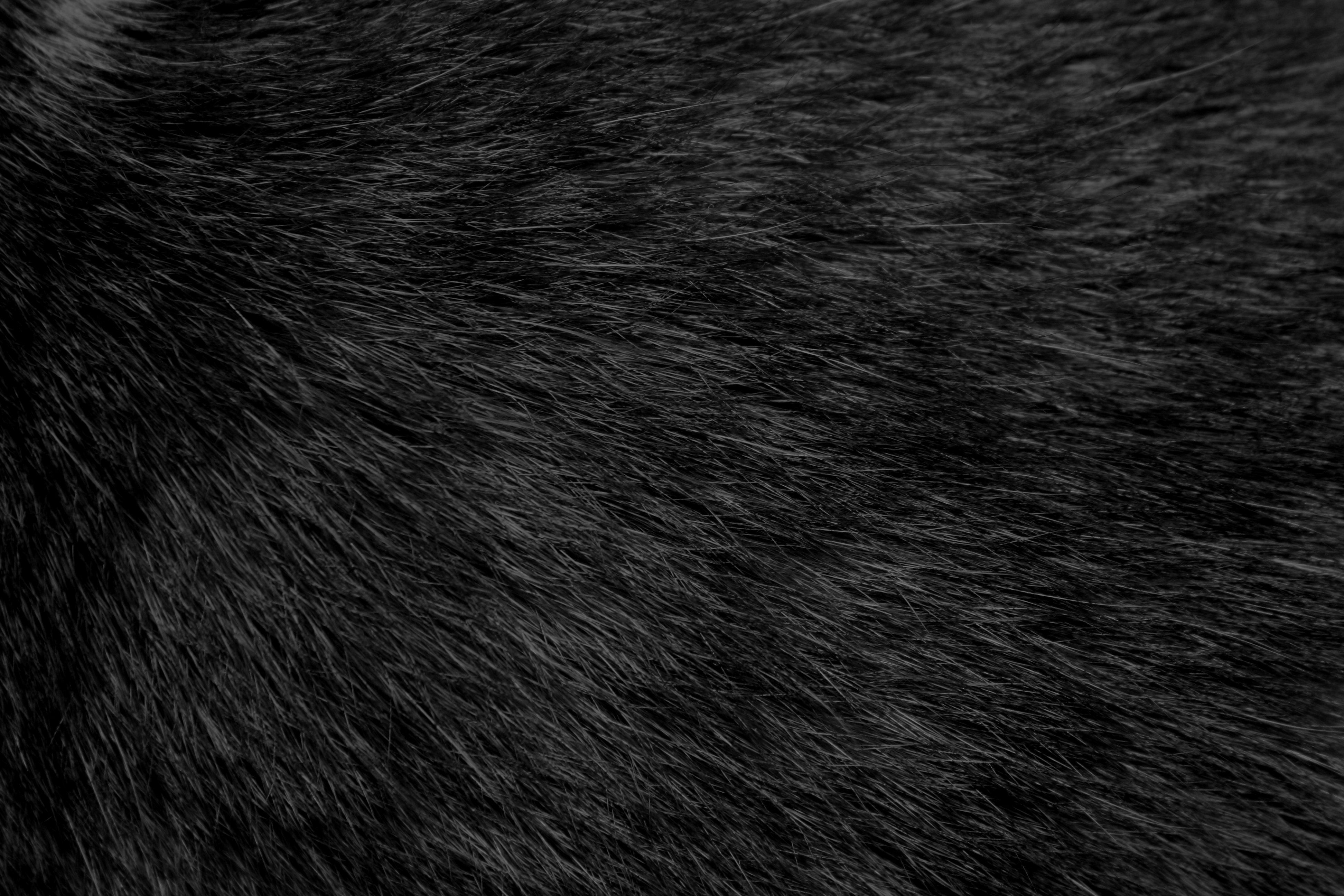 Black Fur Background