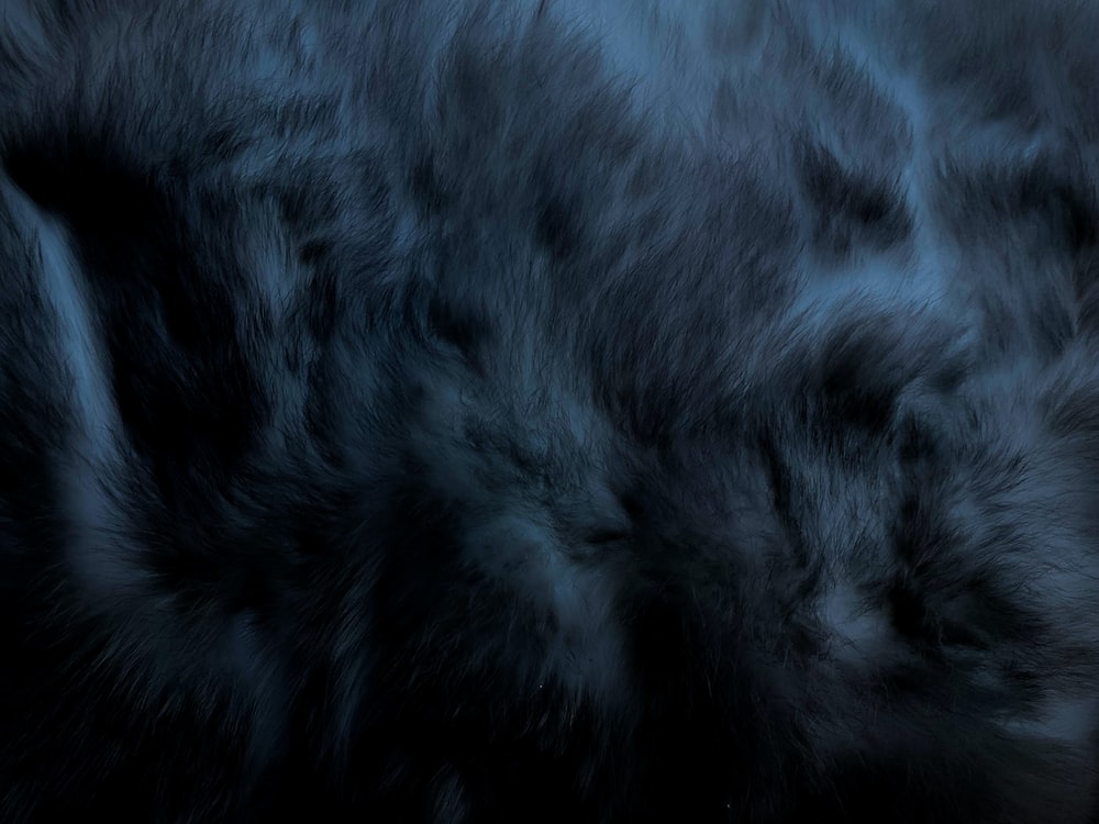 Black Fur Background