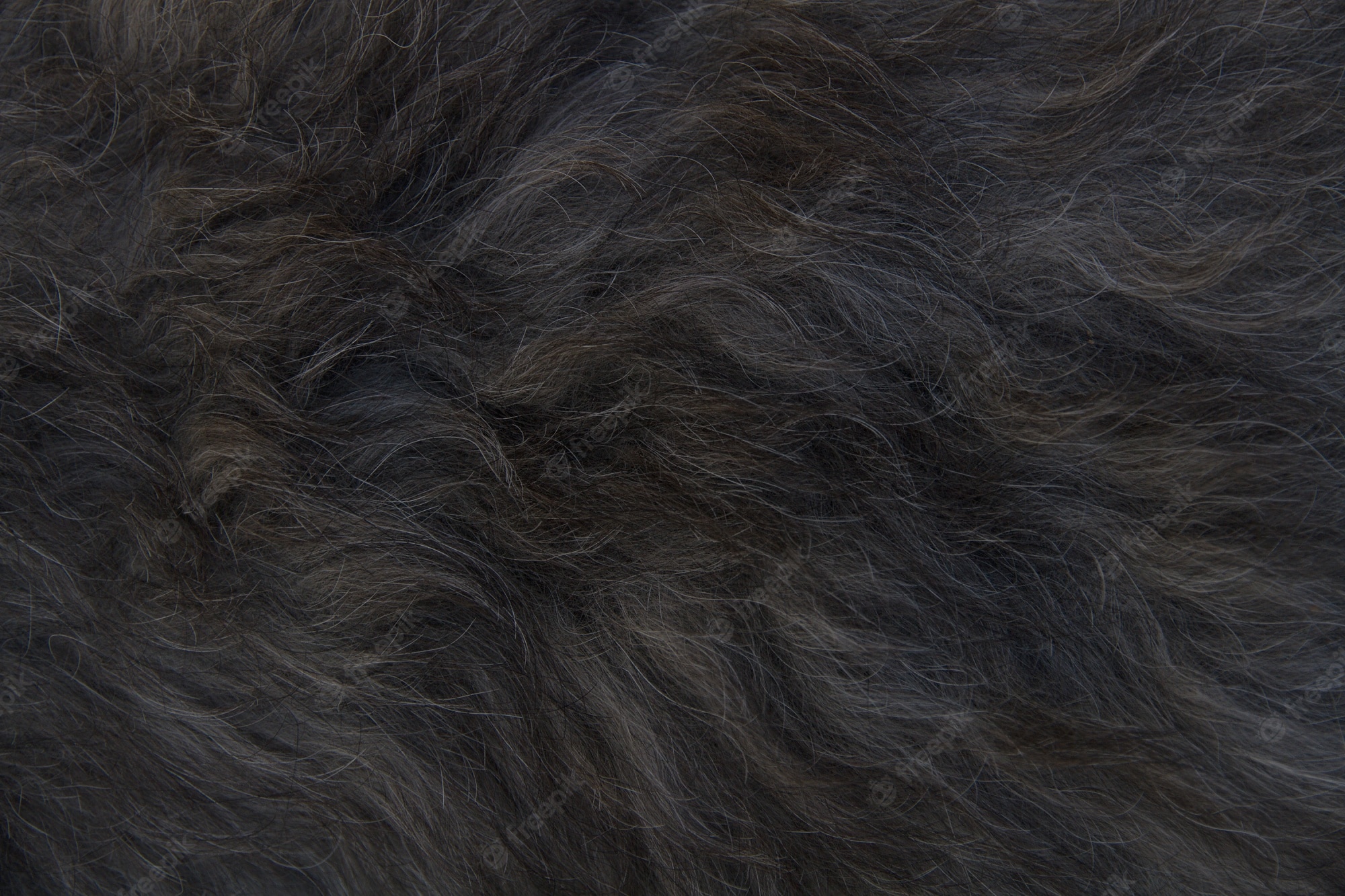 Black Fur Background