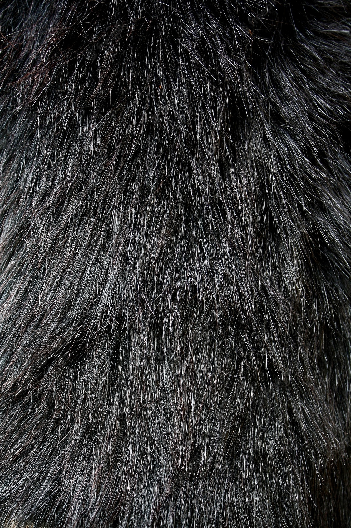 Black Fur Background