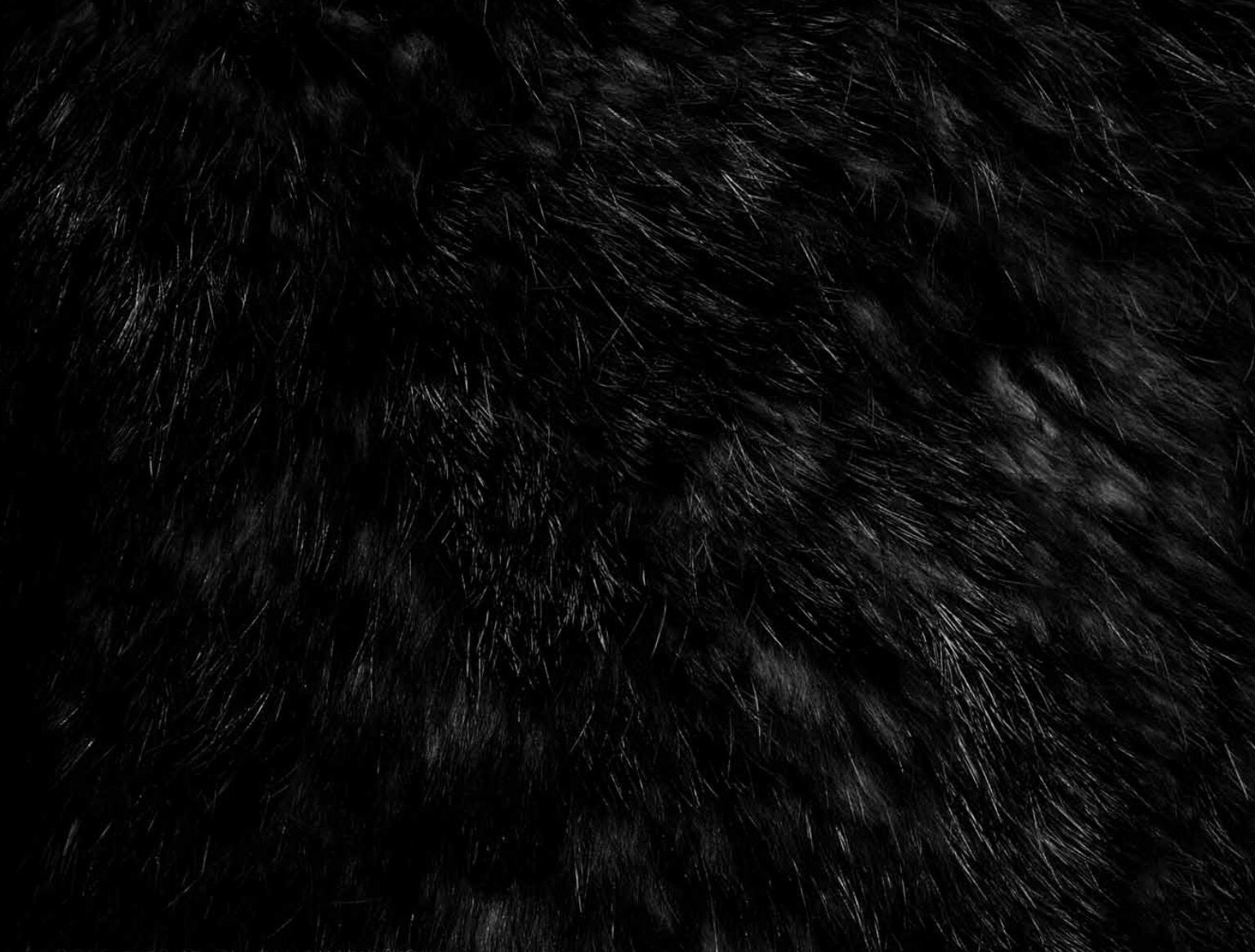 Black Fur Background