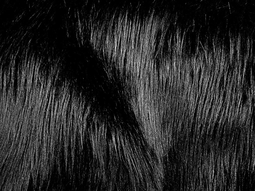 Black Fur Background