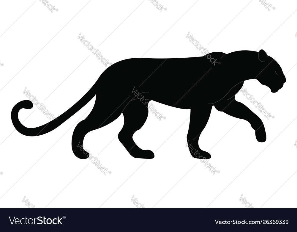 Black Panther White Background