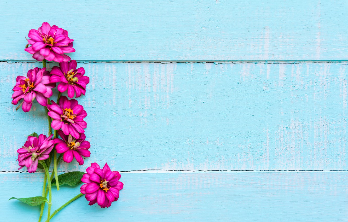 Blue And Purple Flowers Background