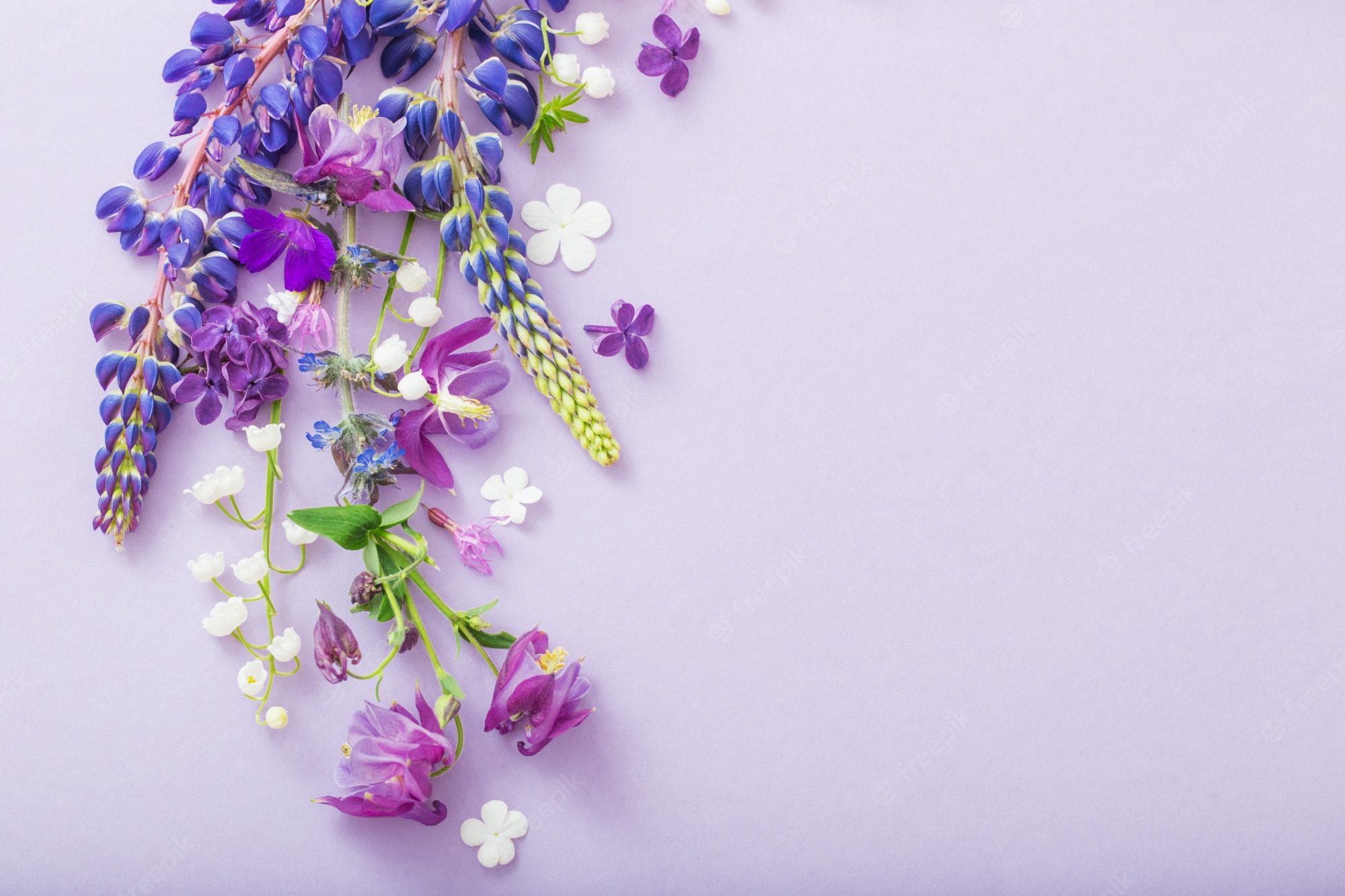 Blue And Purple Flowers Background