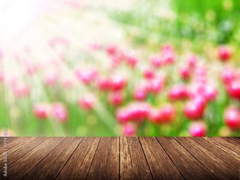 Blurred Flower Background