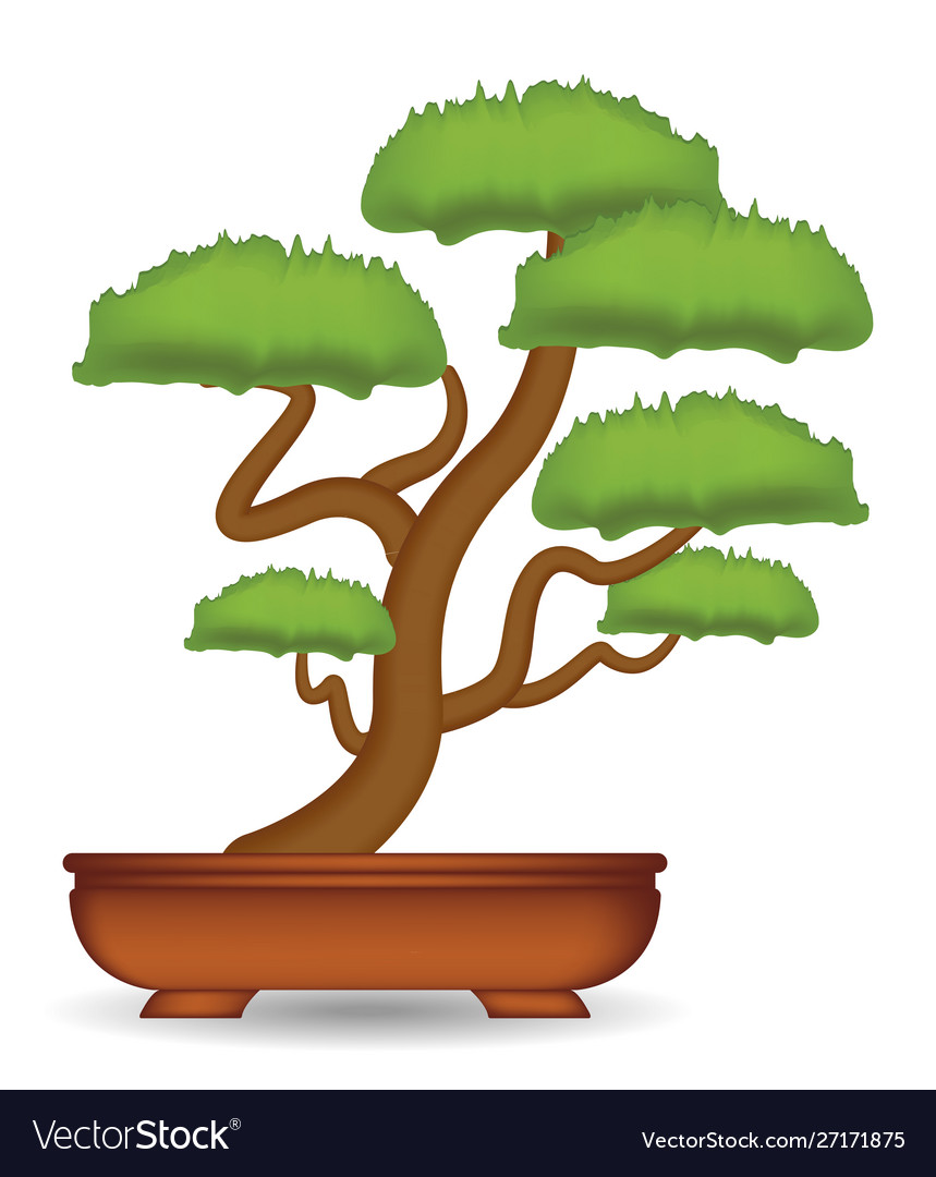 Bonsai Background