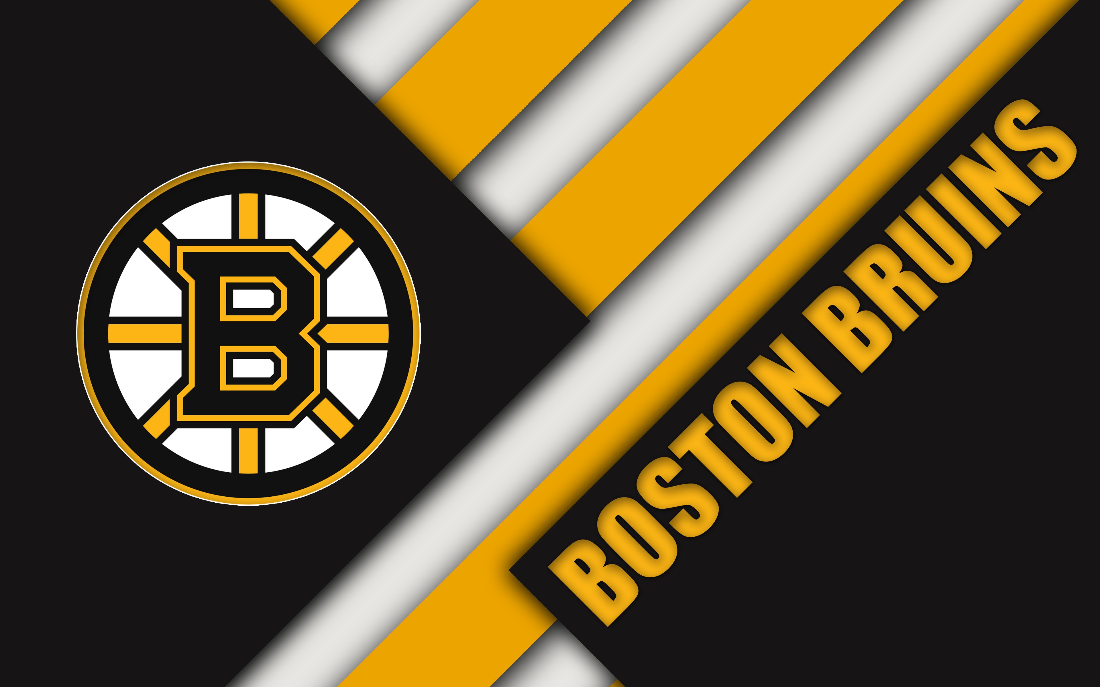 Boston Bruins Zoom Background