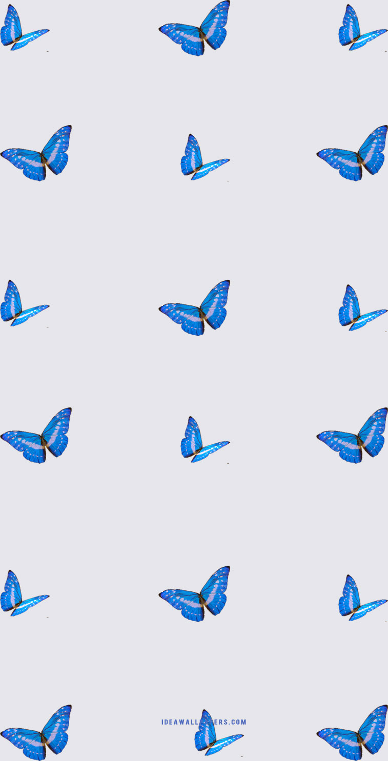 Butterfly Background