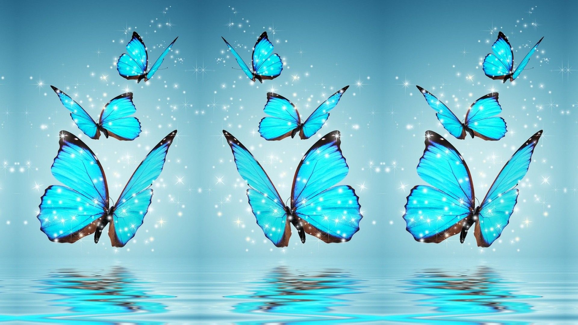Butterfly Computer Background