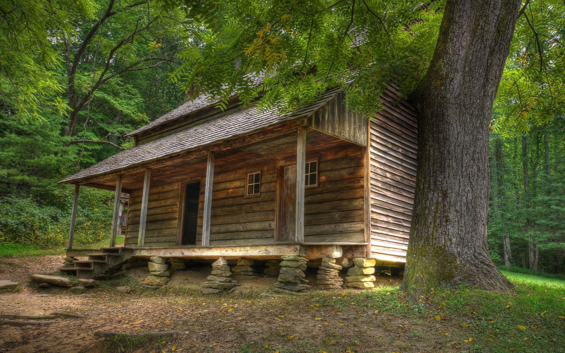 Cabin In The Woods Background