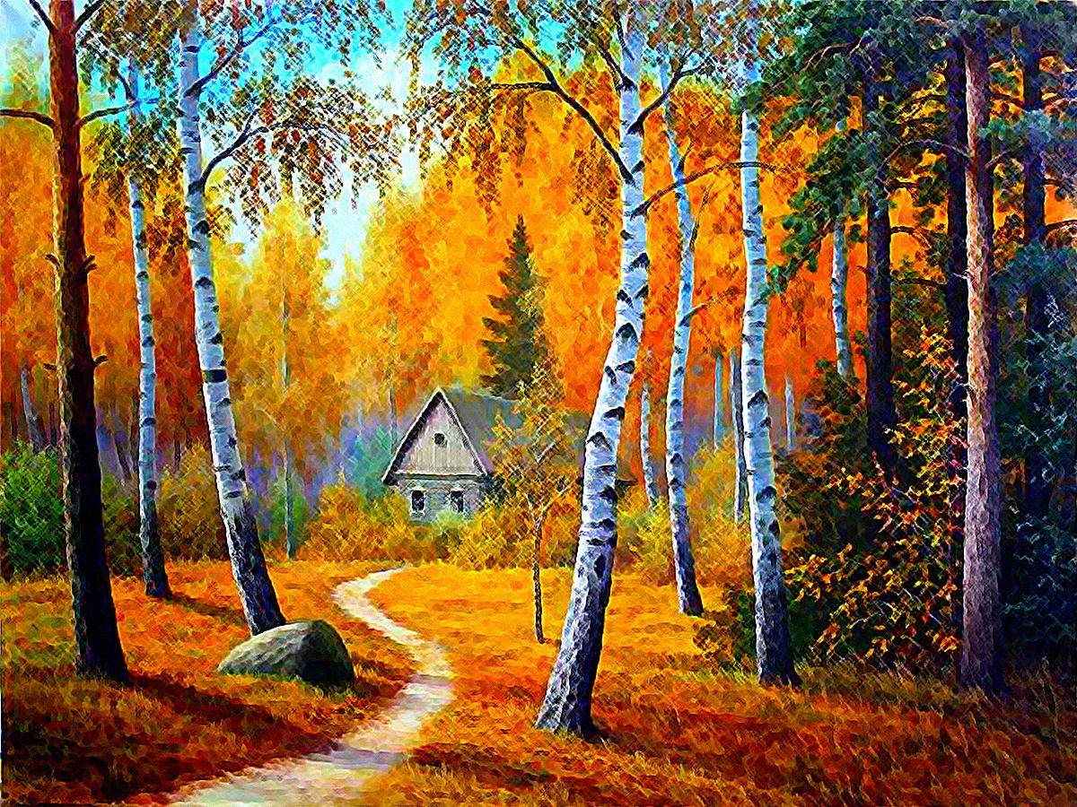 Cabin In The Woods Background