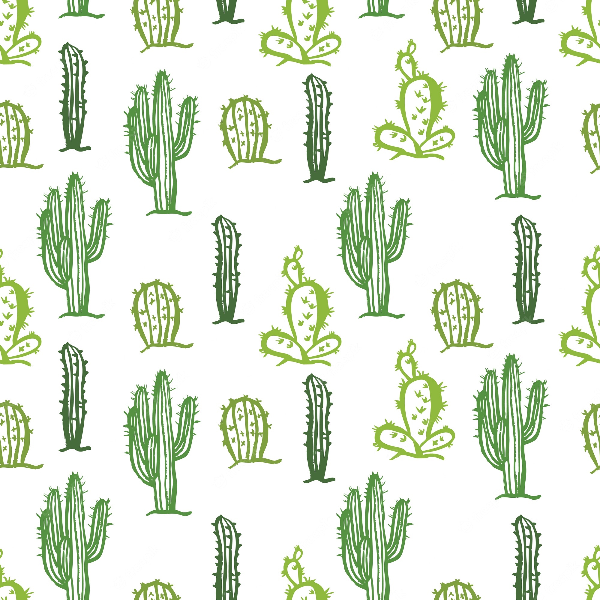 Cactus Background