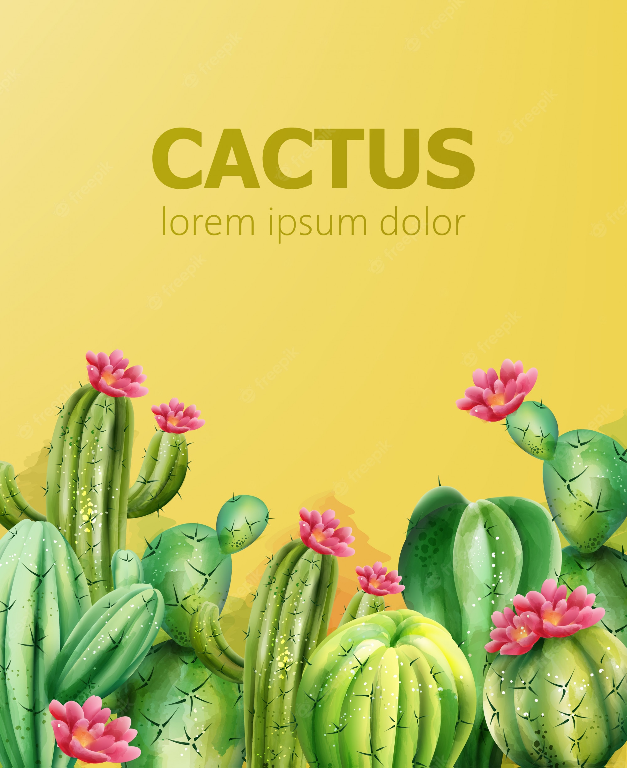 Cactus Background