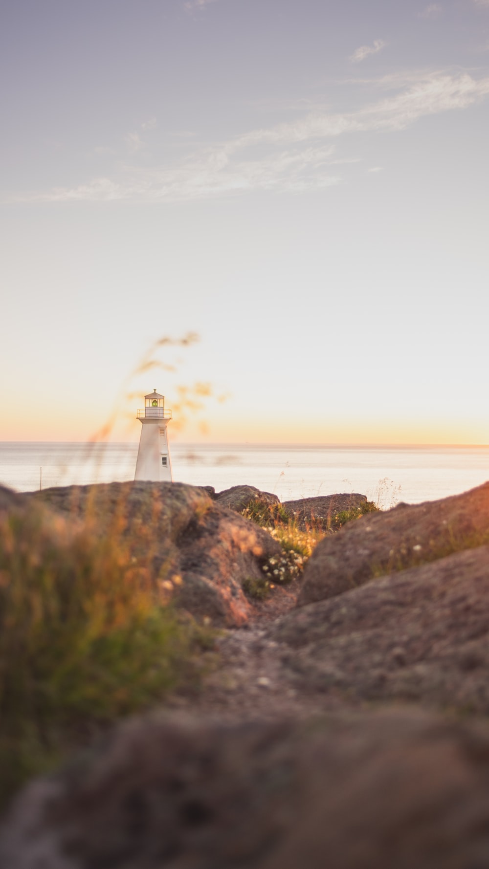 Cape Cod Background