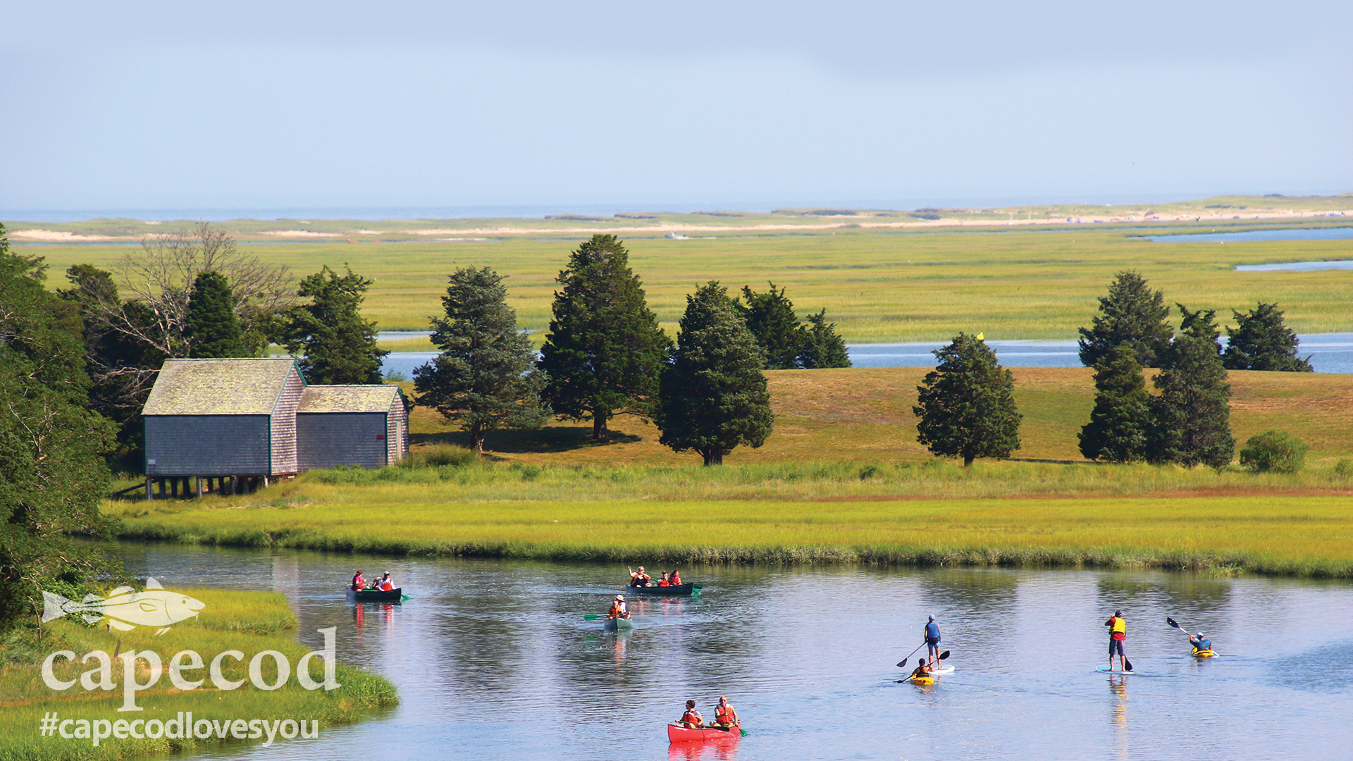 Cape Cod Background