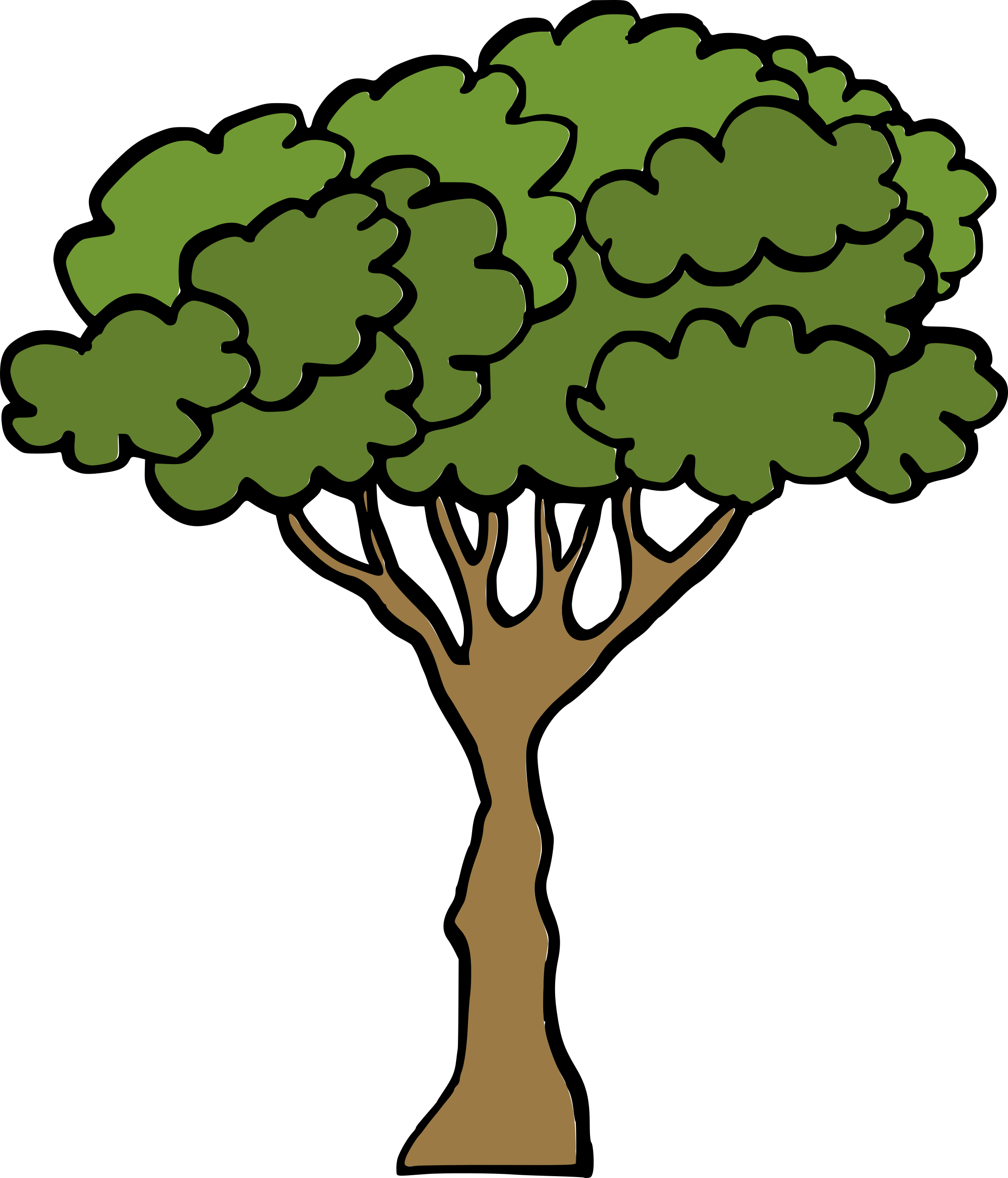 Cartoon Tree Transparent Background