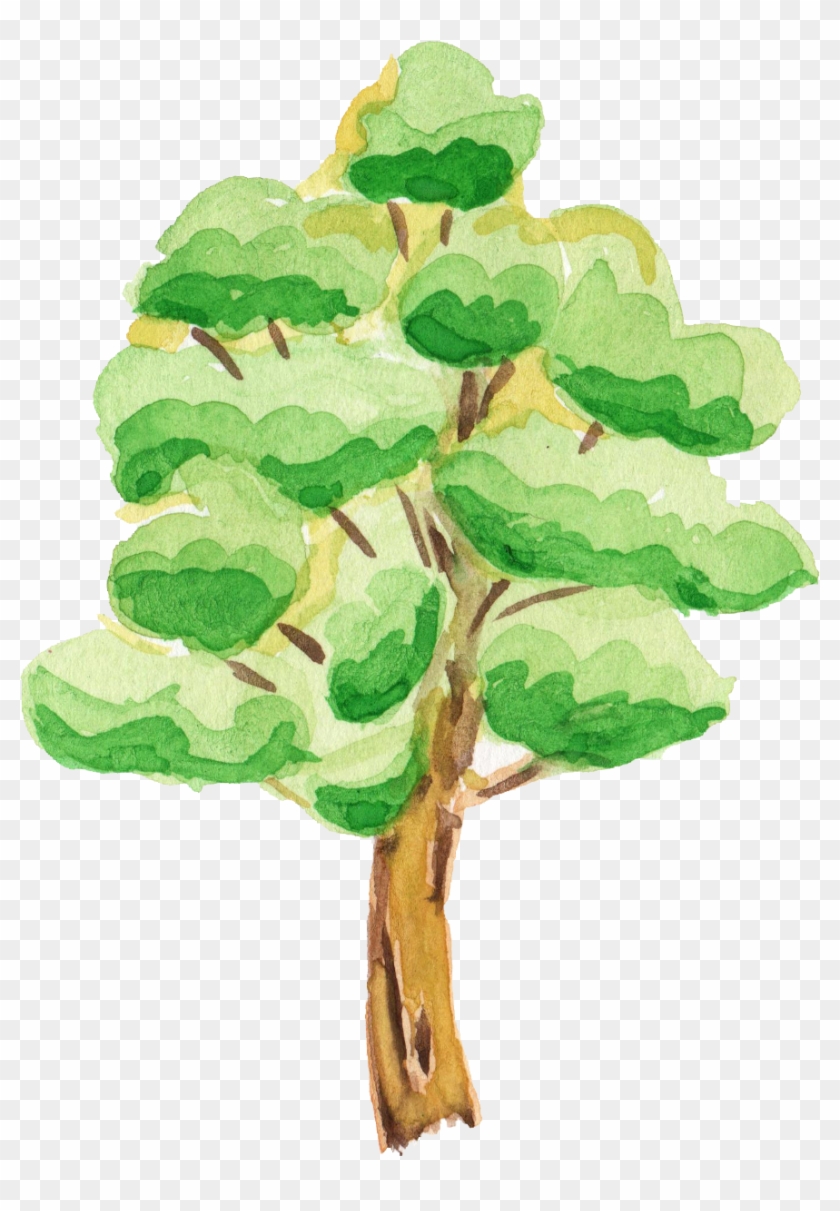 Cartoon Tree Transparent Background