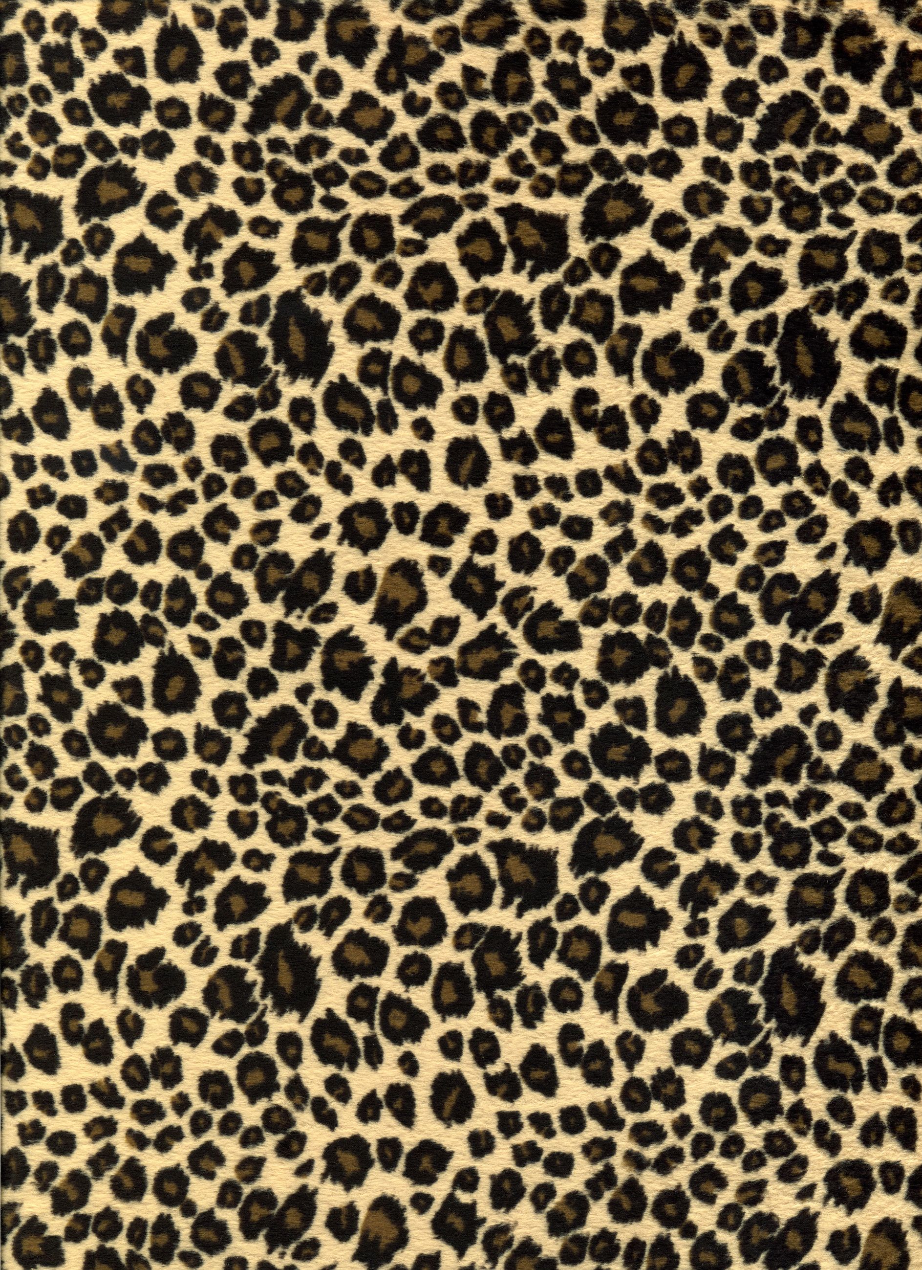 Cheetah Print Background