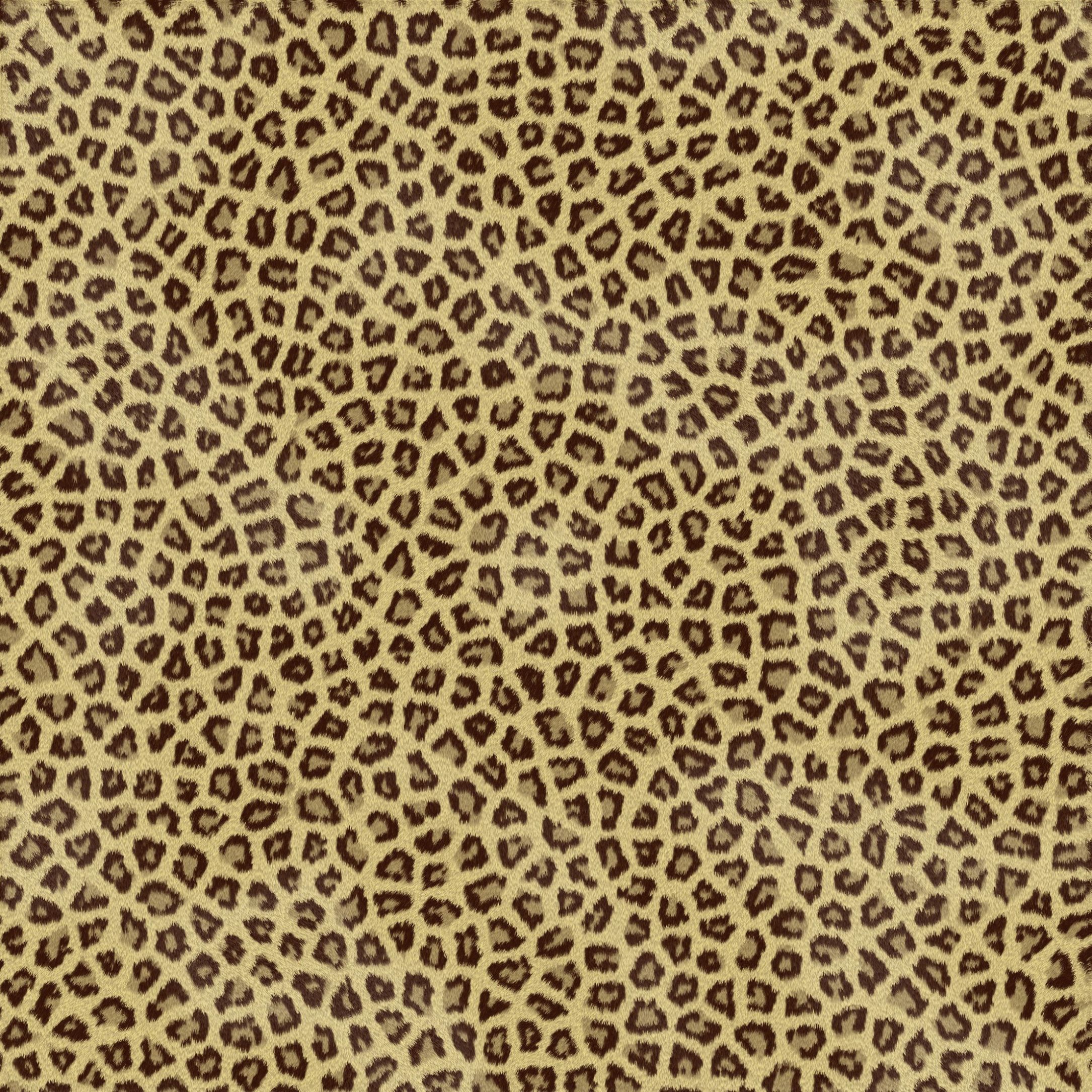 Cheetah Print Background