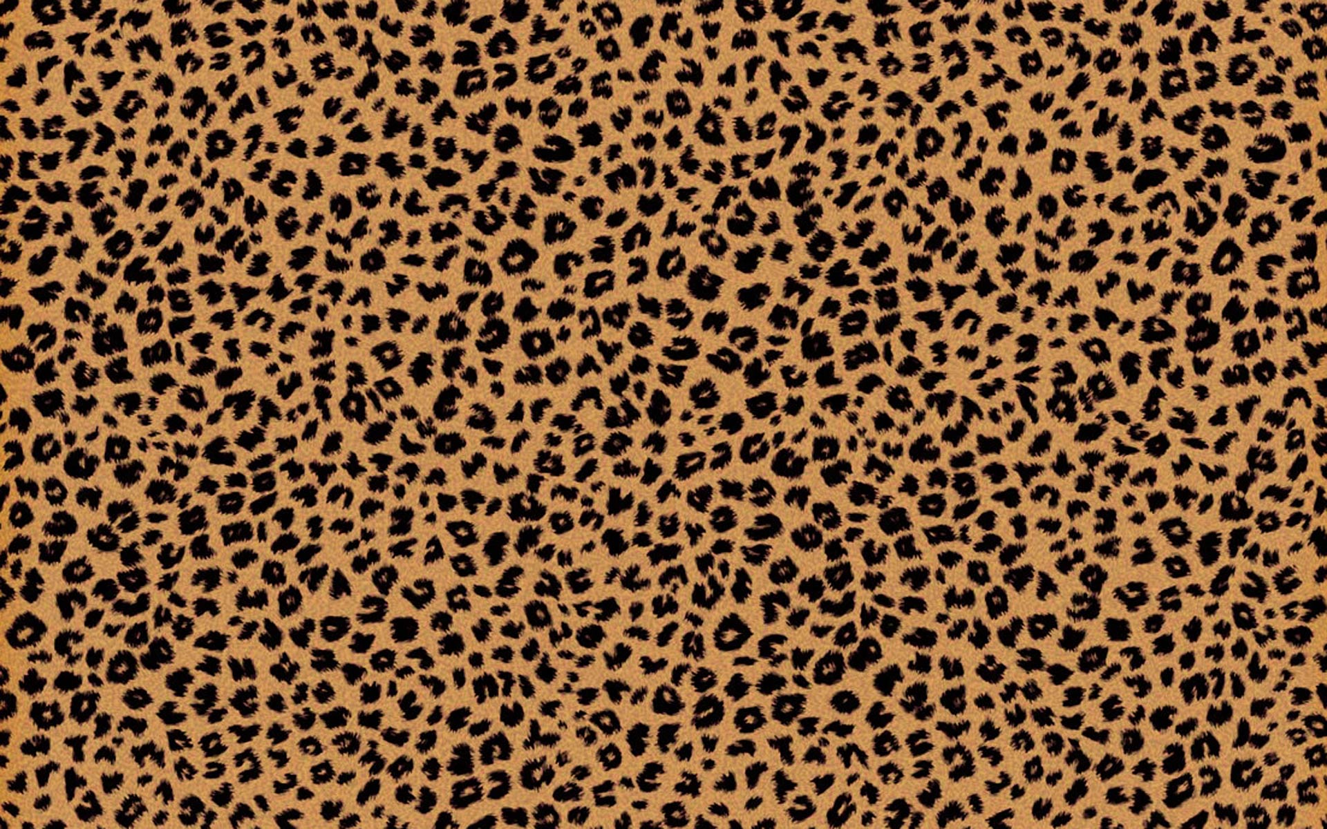 Cheetah Print Background