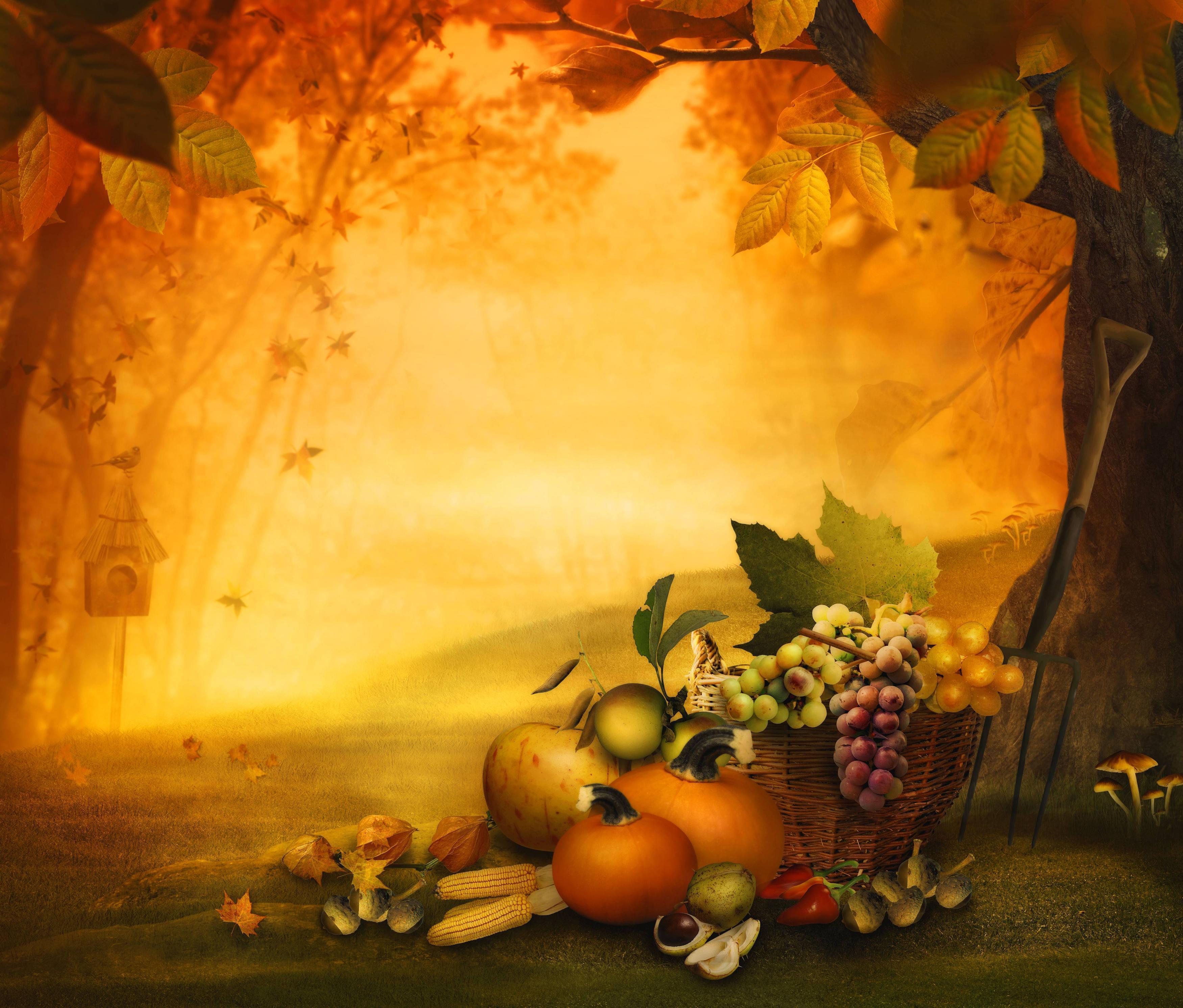 Christian Thanksgiving Background Images