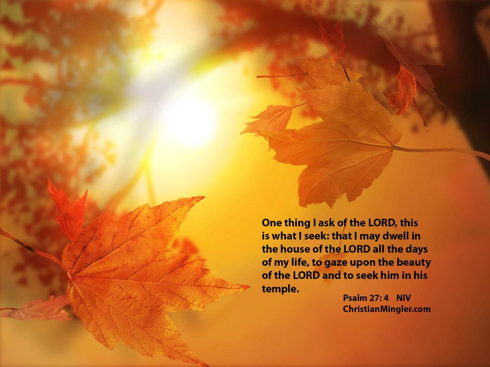 Christian Thanksgiving Background Images