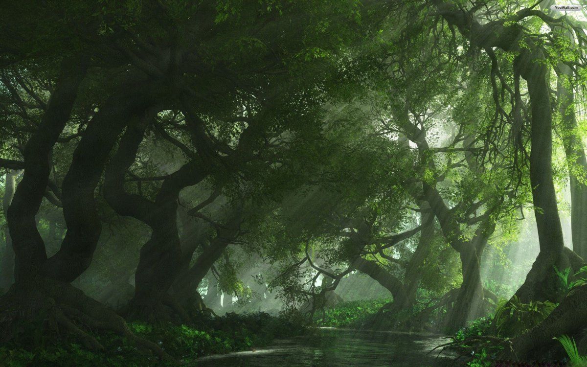 Cool Forest Backgrounds