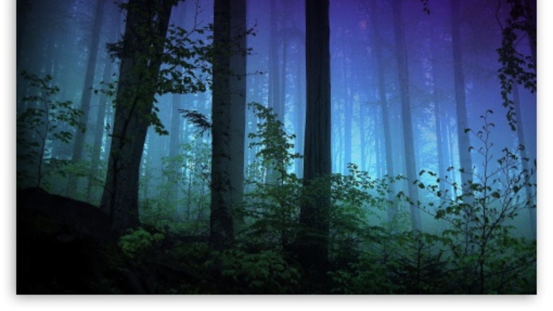 Cool Forest Backgrounds