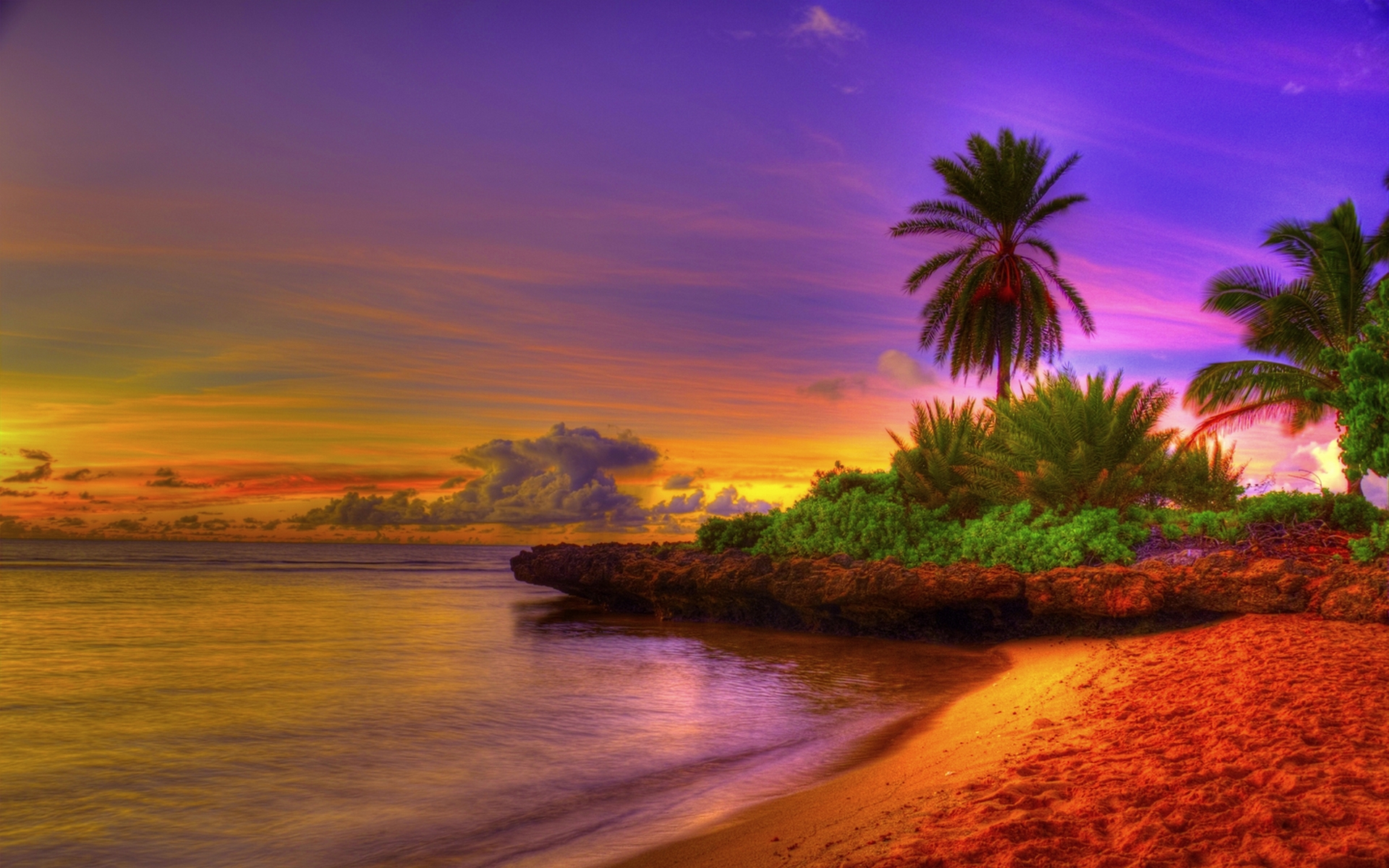 Cool Tropical Backgrounds