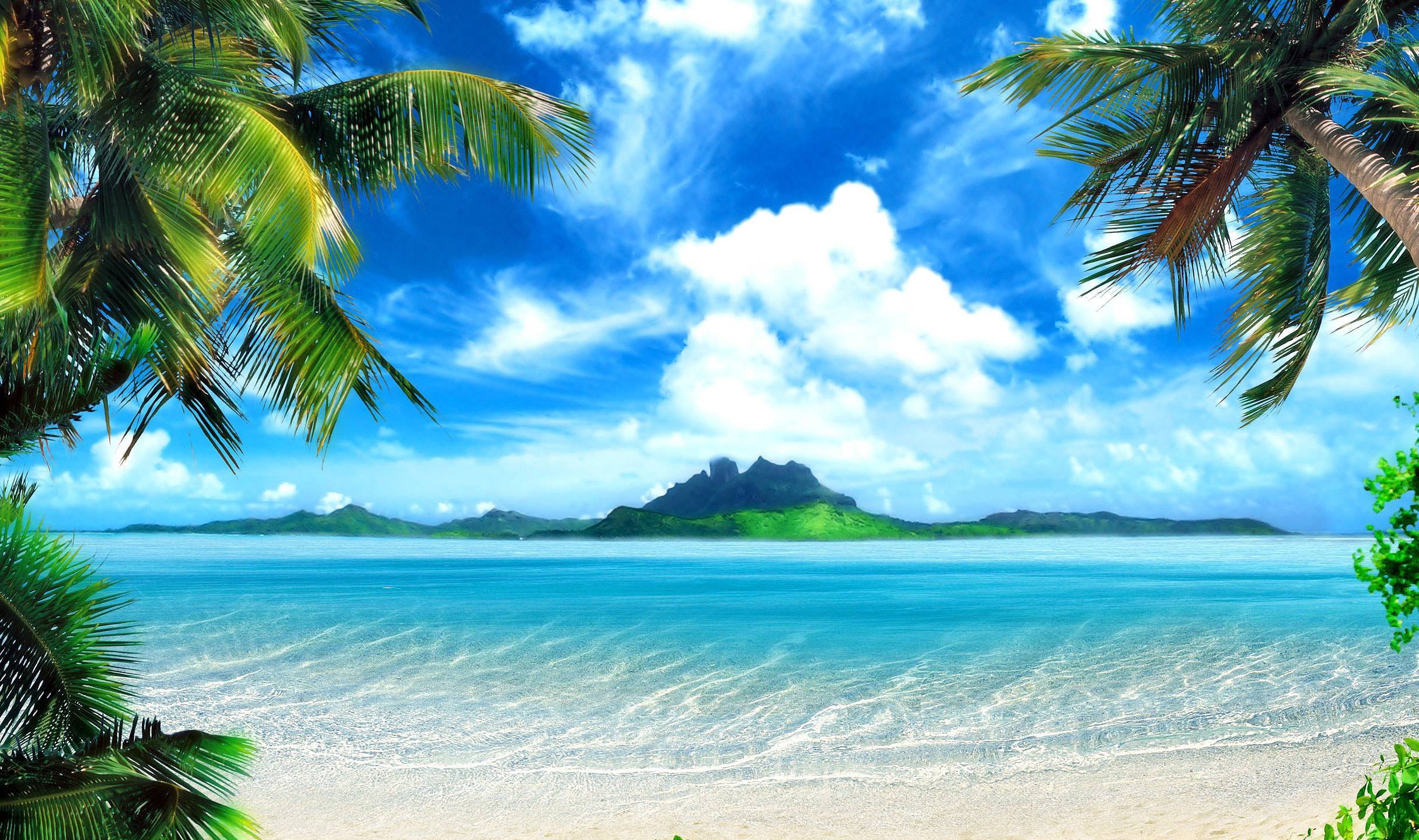 Cool Tropical Backgrounds