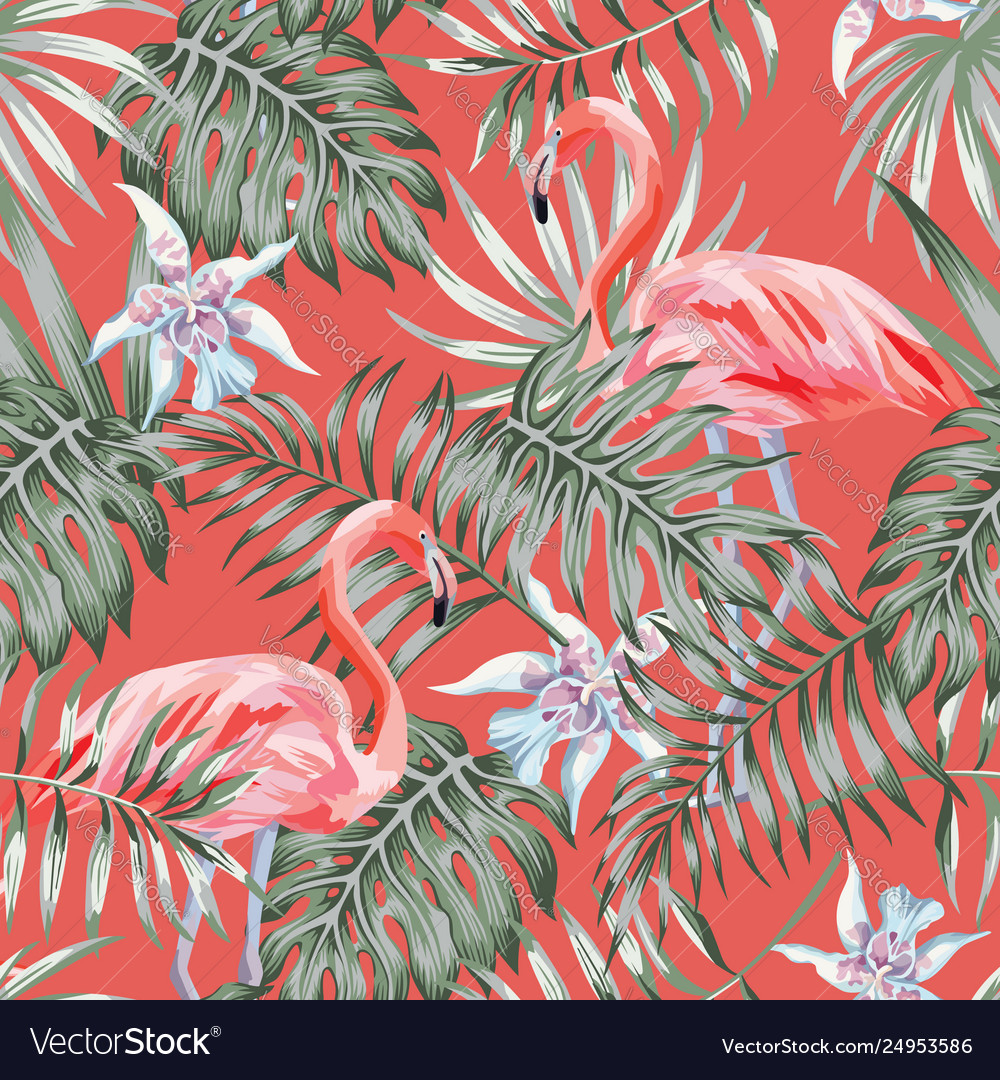 Coral Background