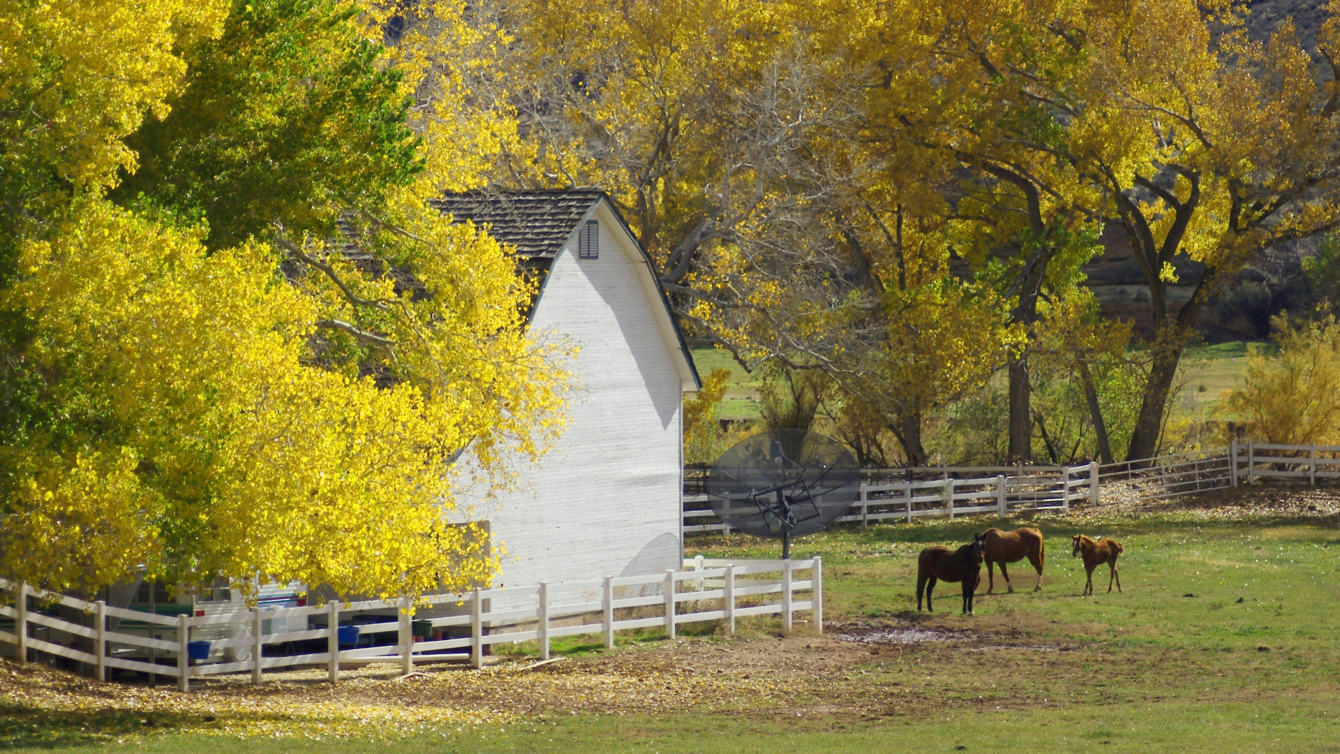 Country Farm Background