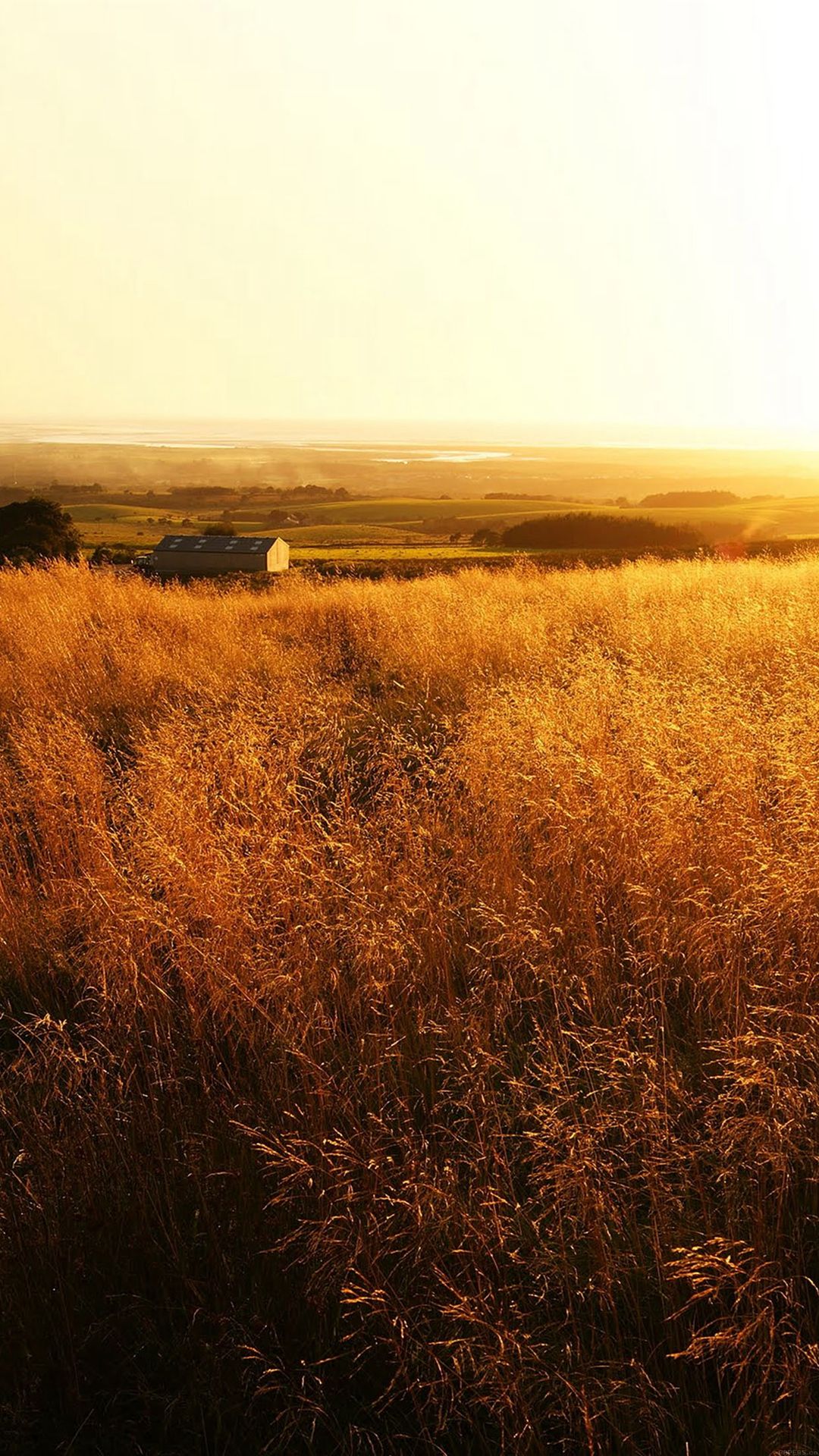 Country Farm Background