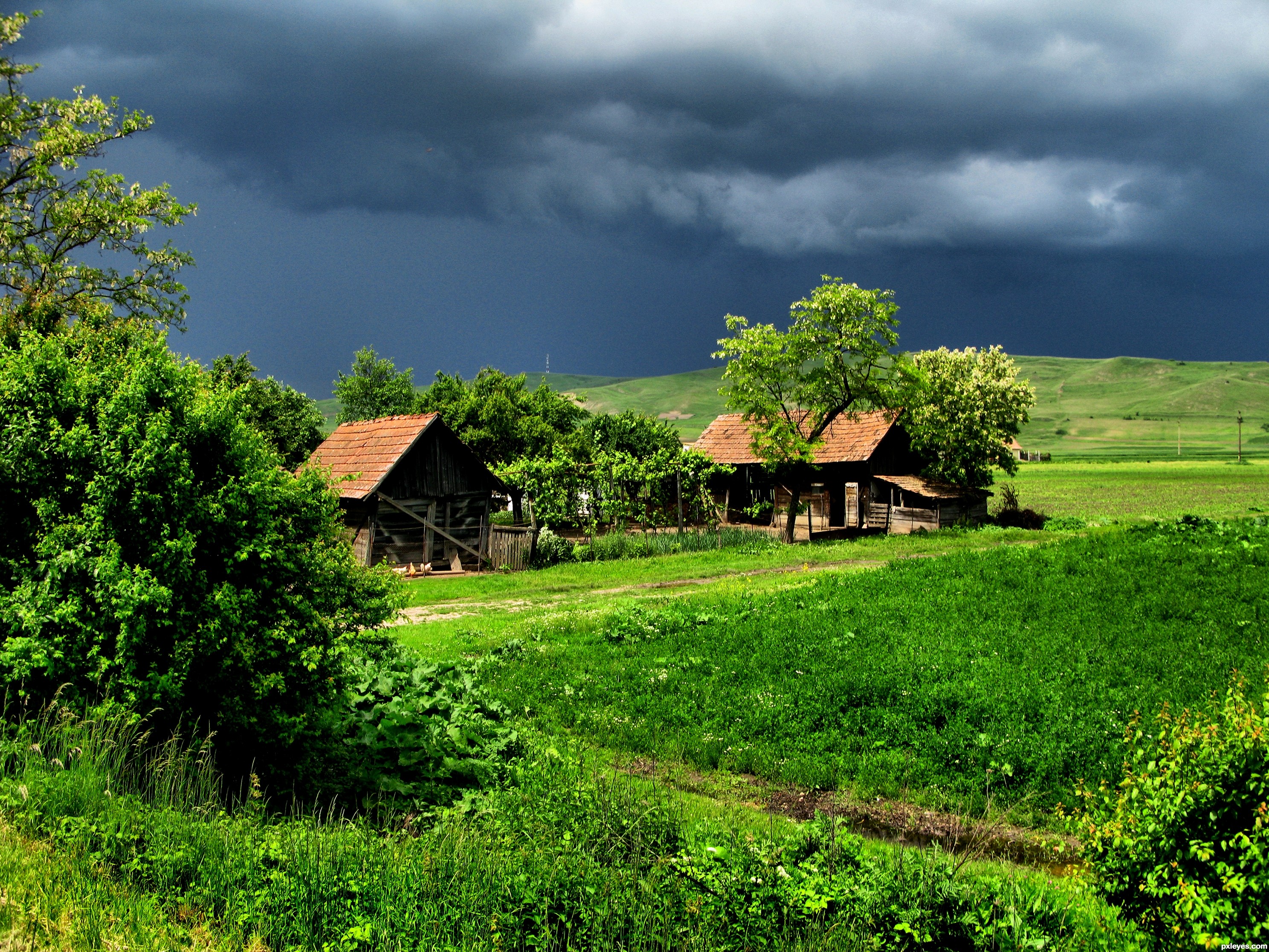 Country Farm Background