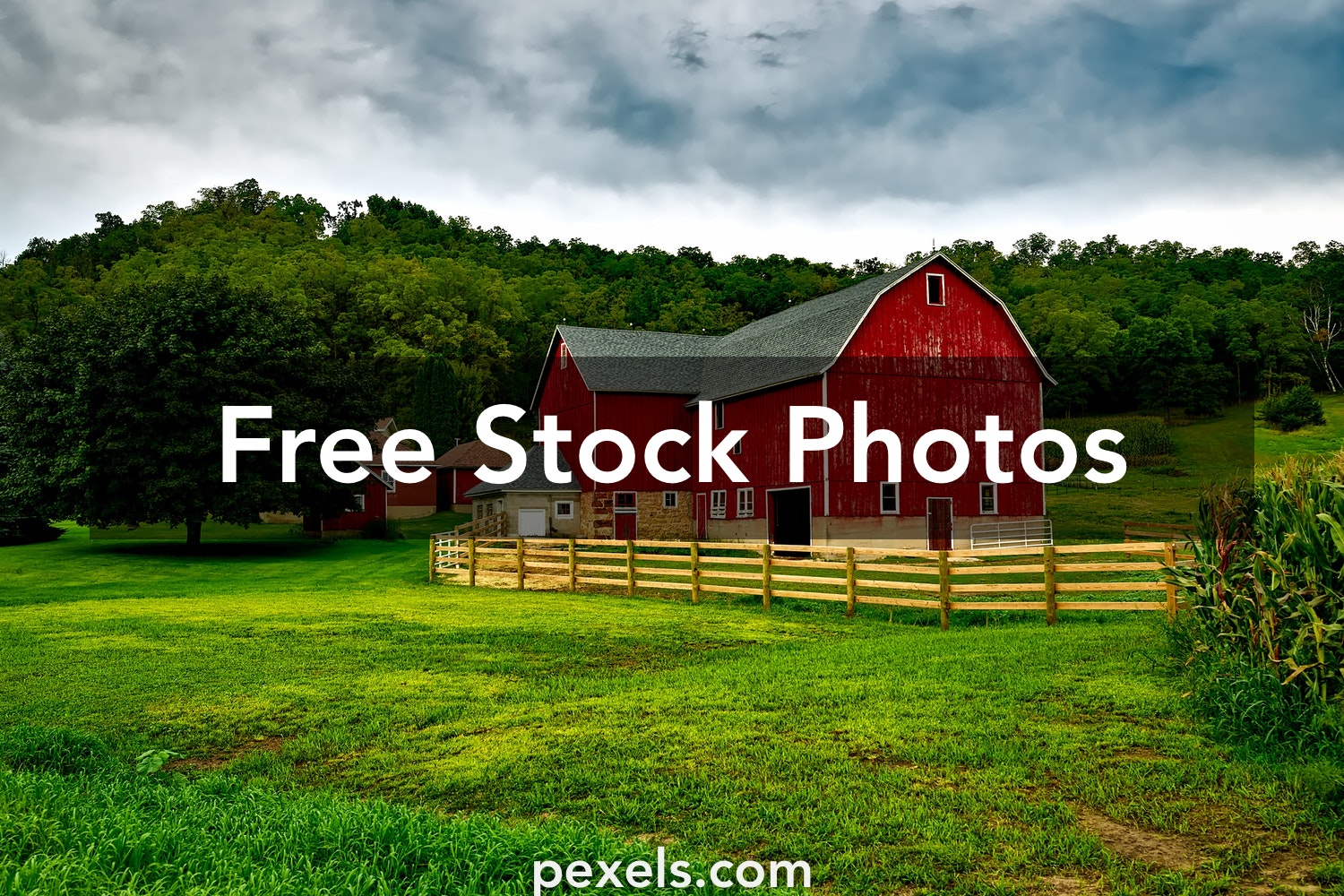 Country Farm Background