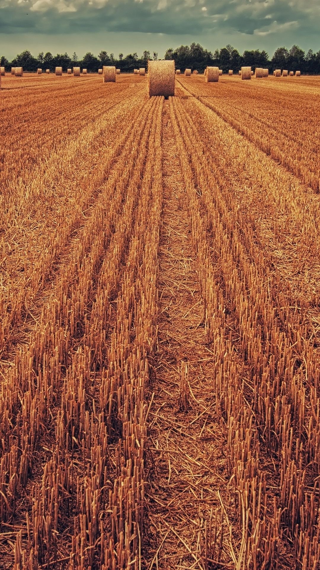 Country Farm Background