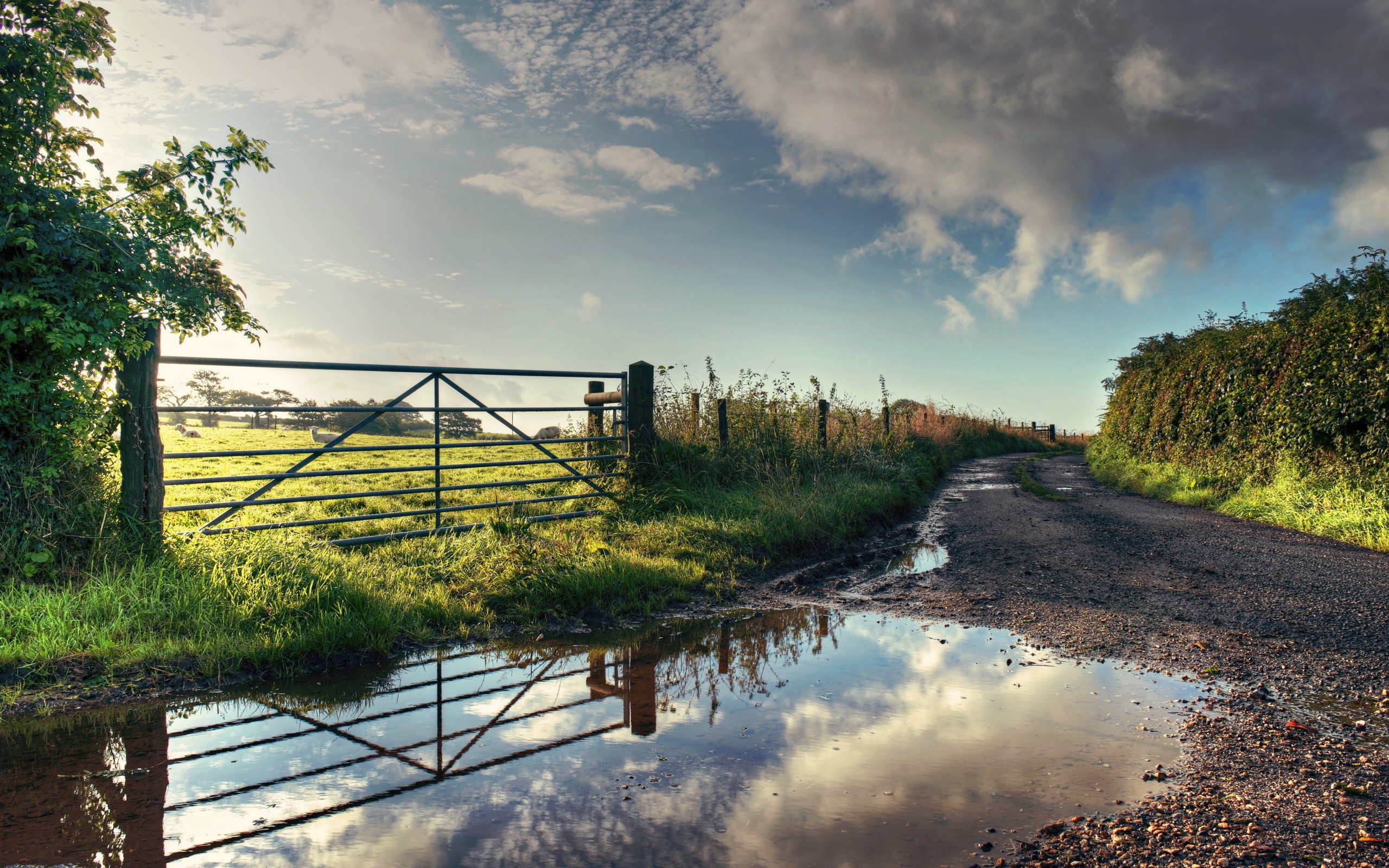 Countryside Backgrounds