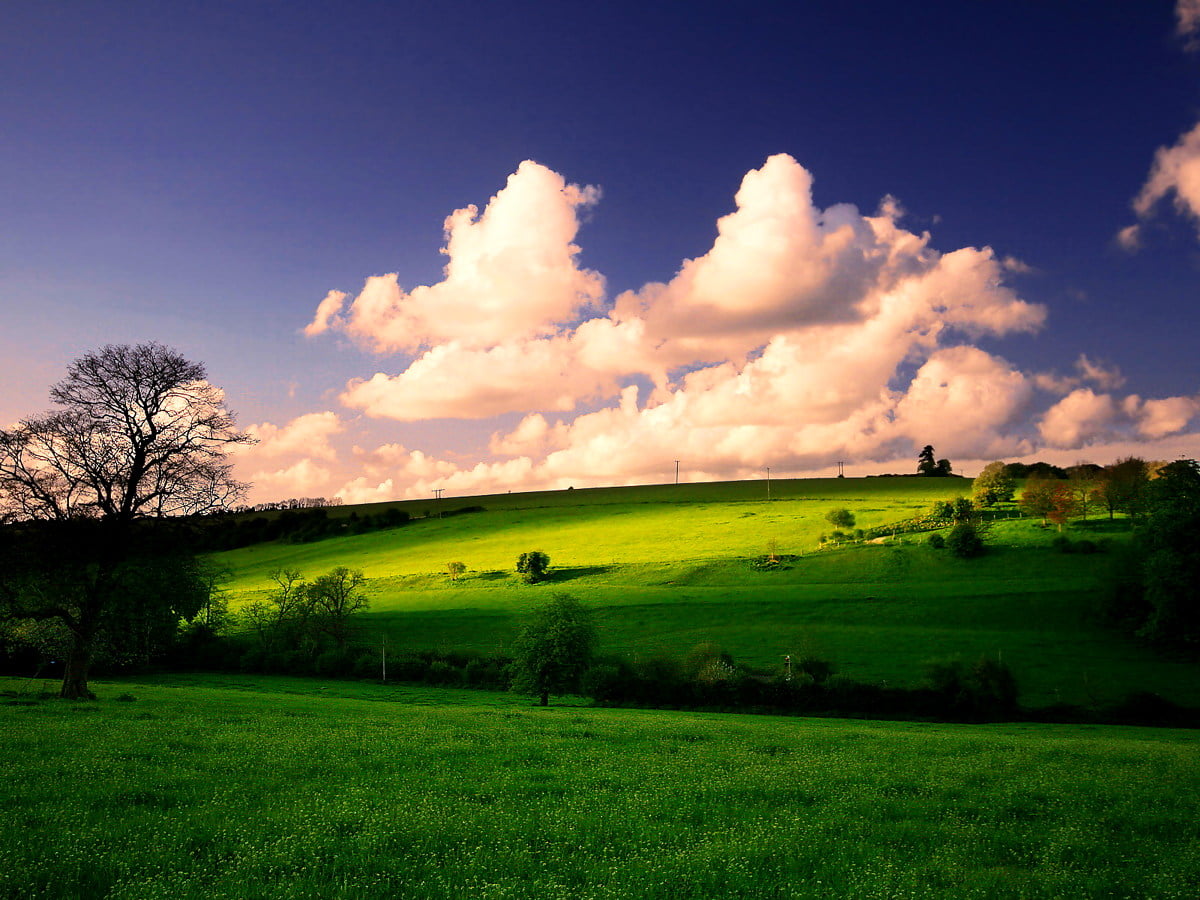 Countryside Backgrounds