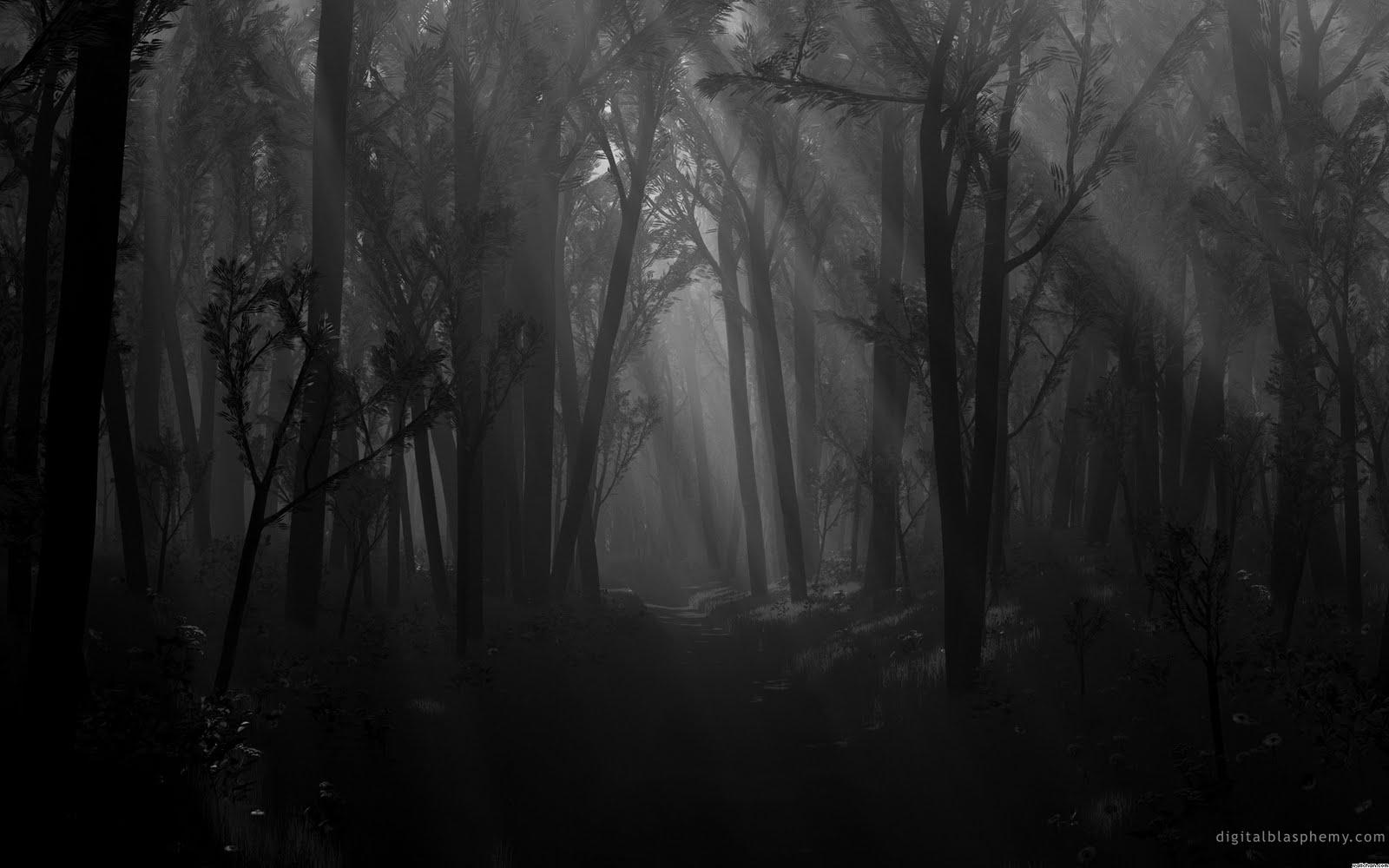 Creepy Forest Background