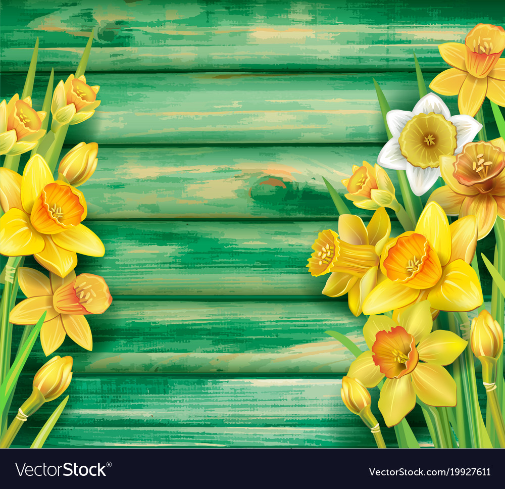 Daffodils Backgrounds