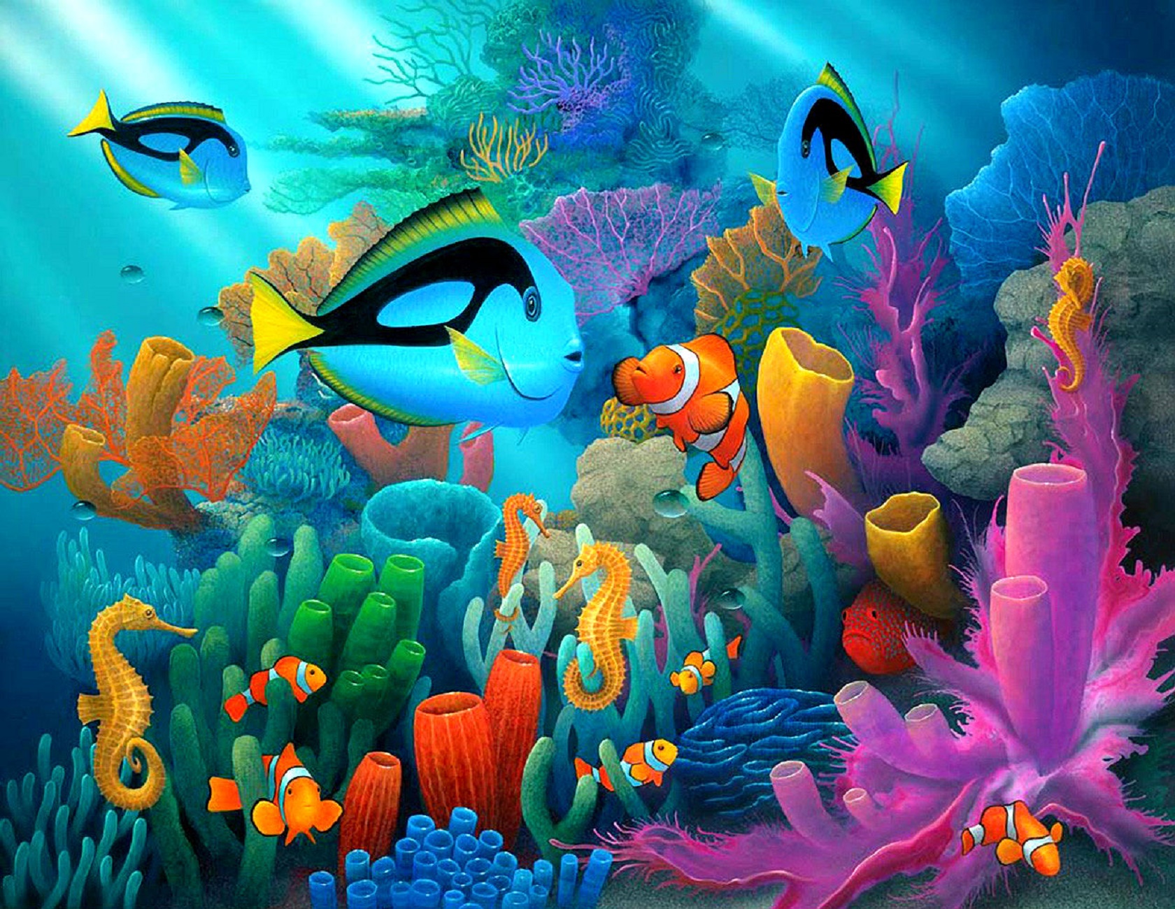 Desktop Backgrounds Underwater