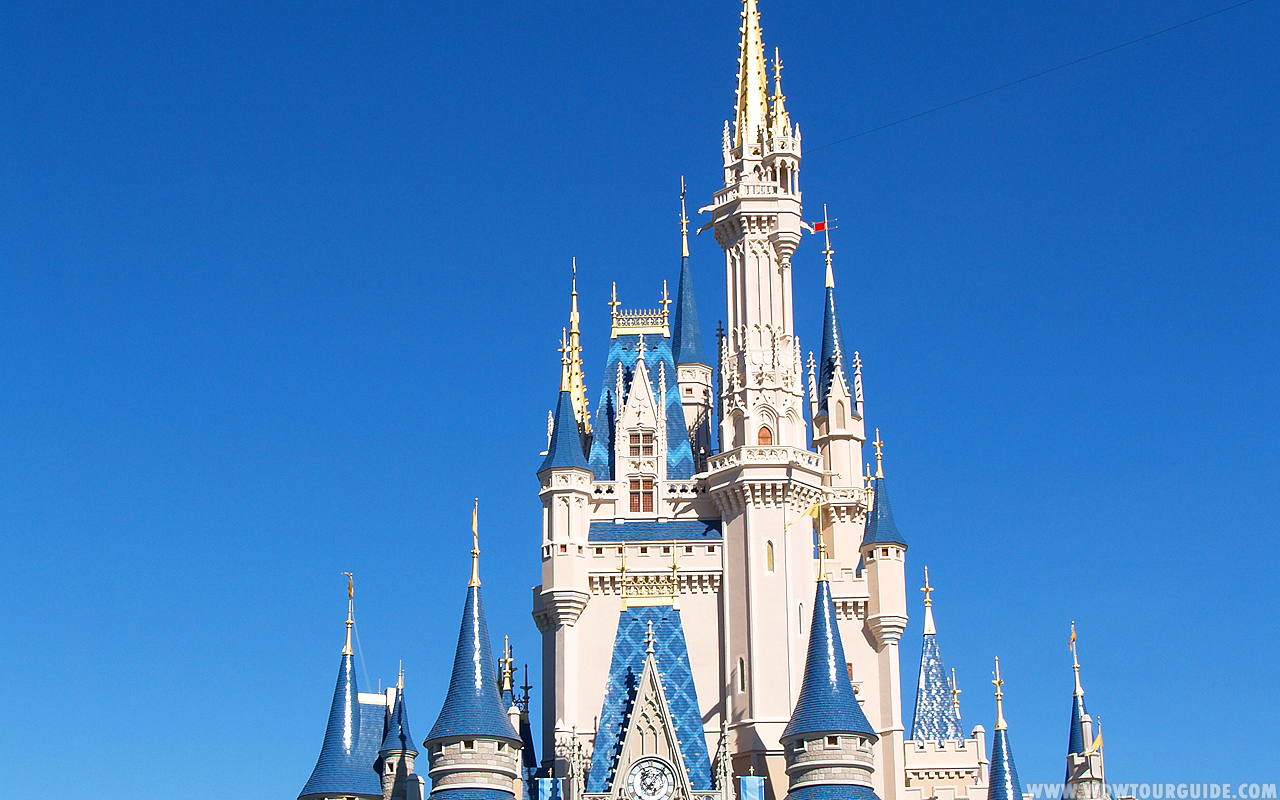 Disney World Castle Background