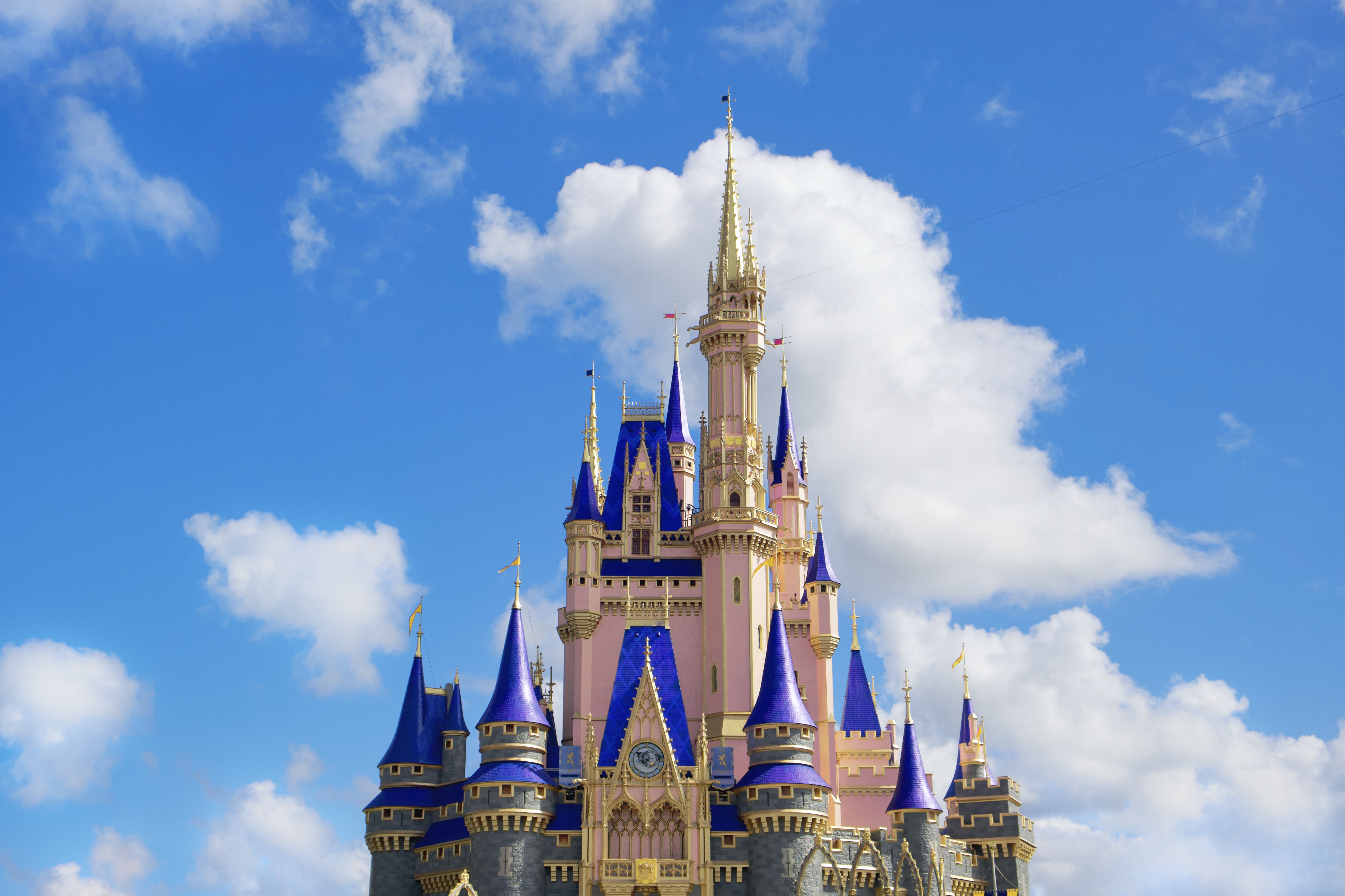 Disney World Castle Background