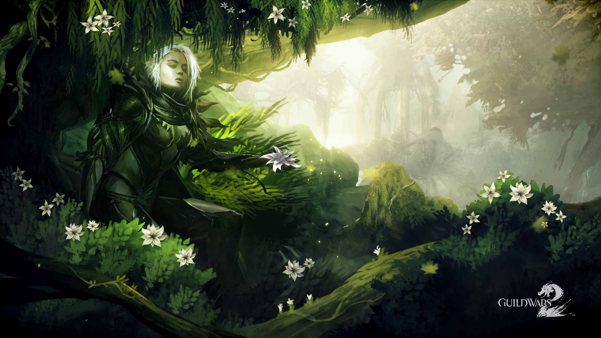 Druid Backgrounds